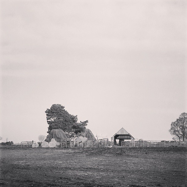 Traditional Farm #farm #Scotland #old #b&w