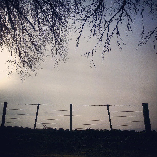 Skyline: Fence