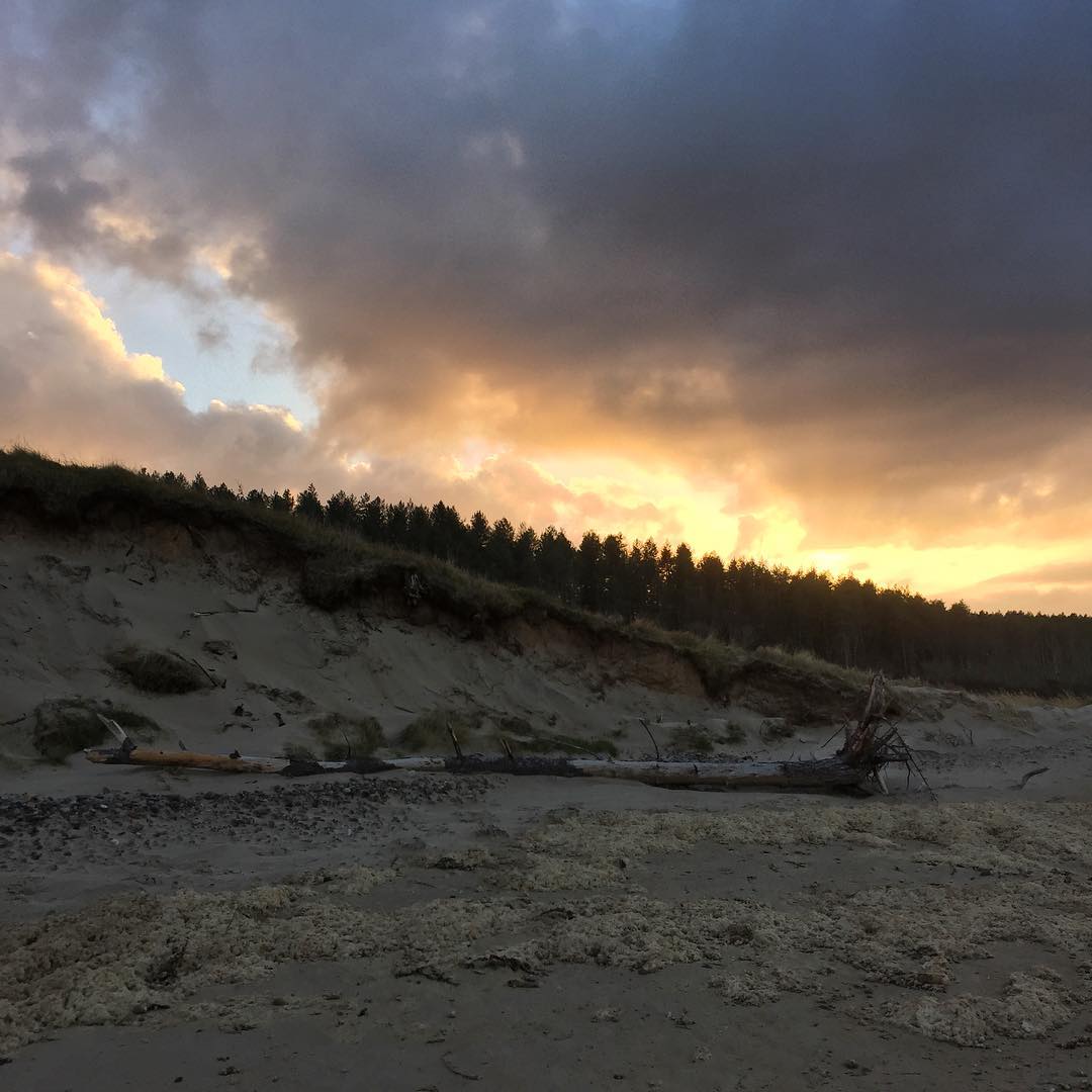 Dune Sunset at Culbin Beach -