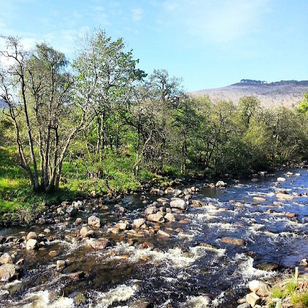 'Upstream'