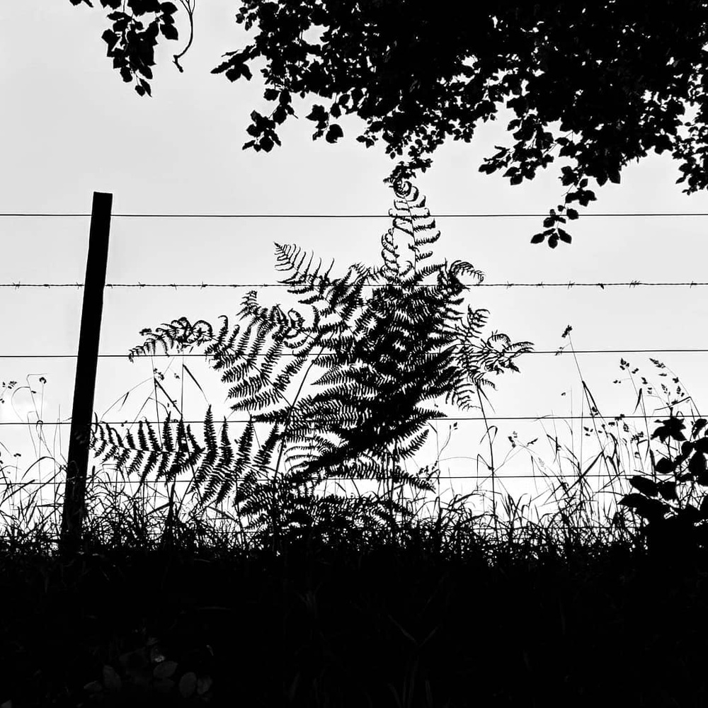 We've come a long way since that day, And we will never look back, at the faded silhouette