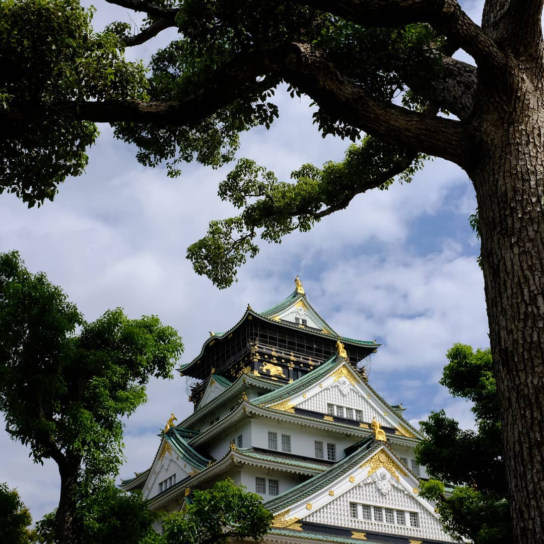 Today we are at Osaka castle