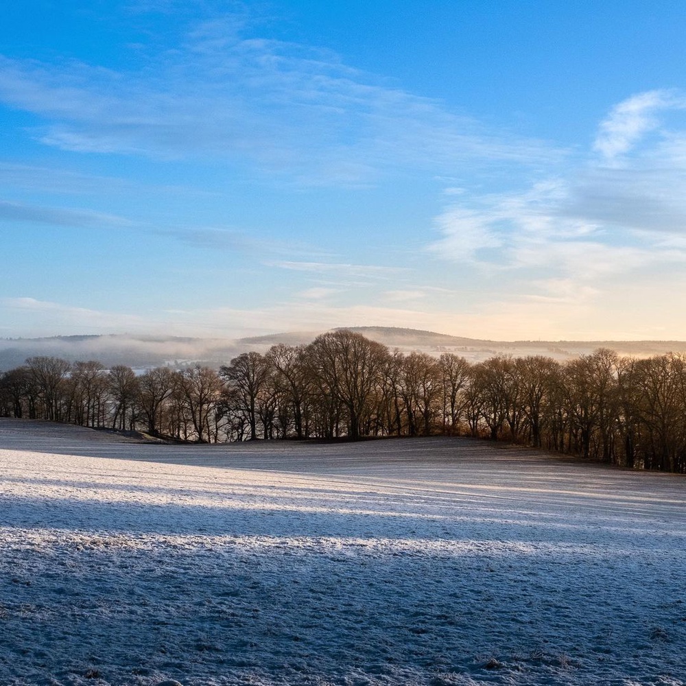 Happy to catch one of my favourite fields in nice light.