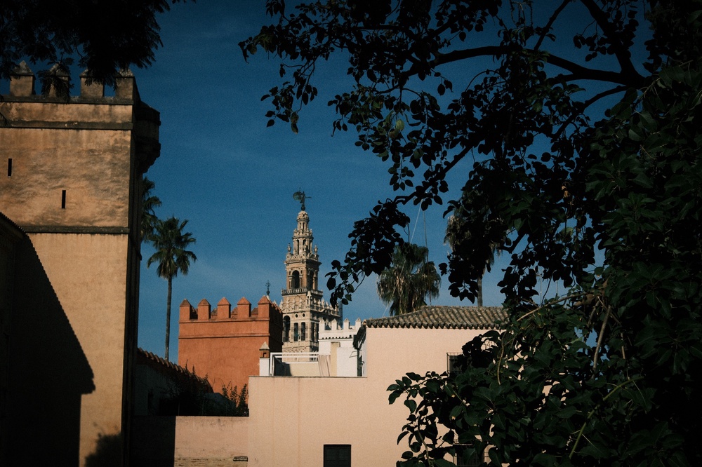 The towers of Sevilla