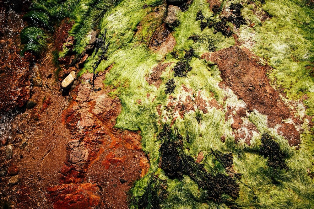 Beach, aerial, macro.