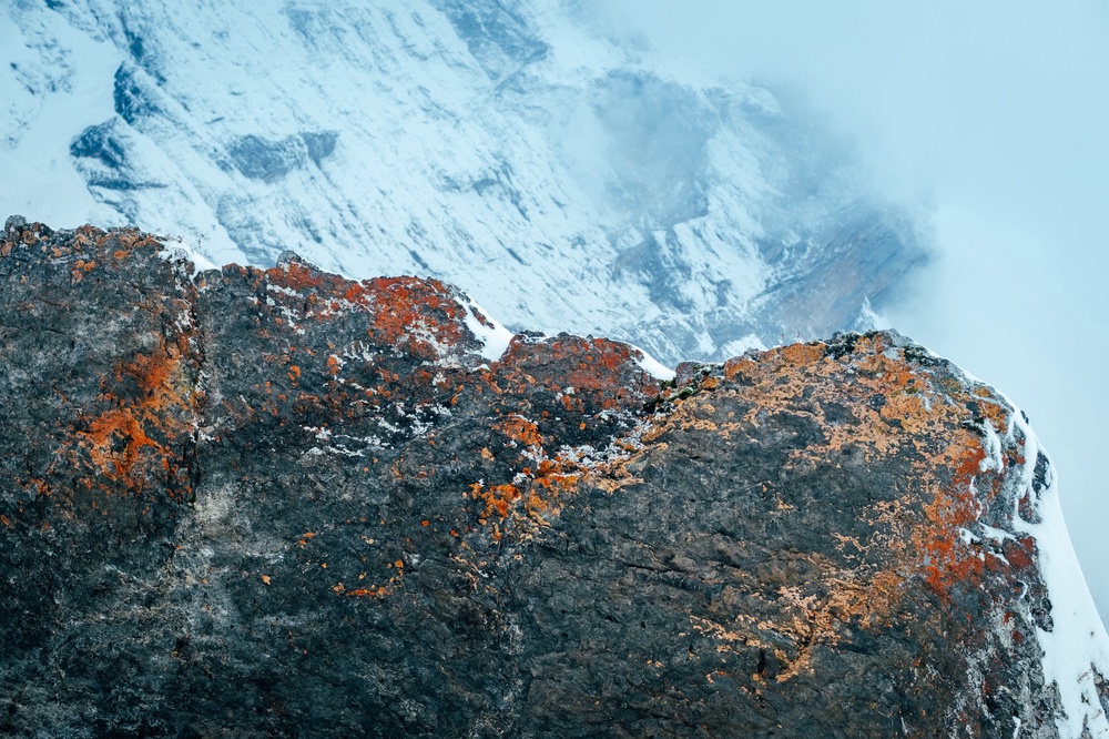 Contrasting colours. Surprise snow on our Switzerland trip!