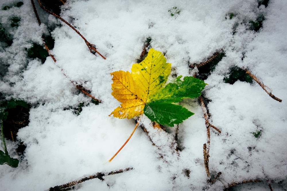 Autumn snow