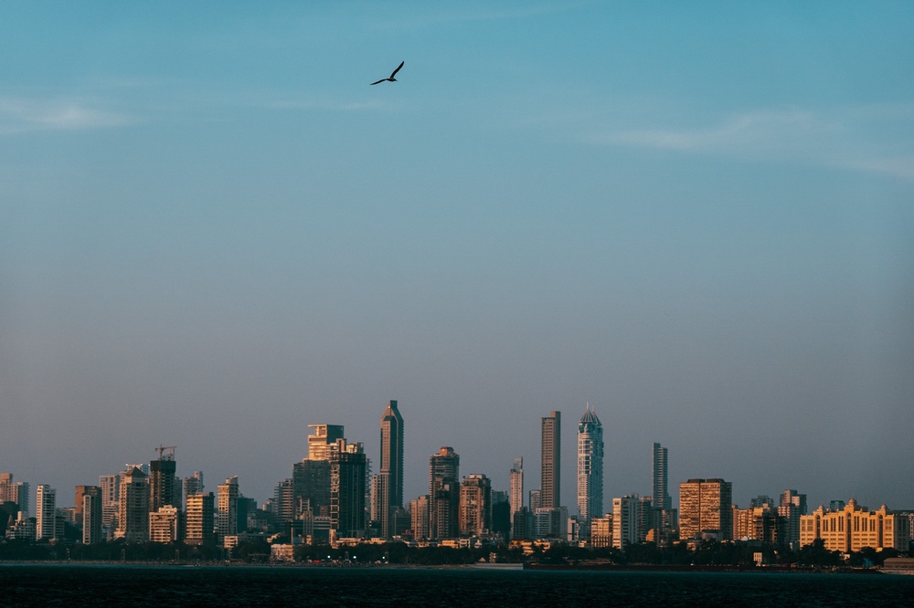 The birds followed us to Mumbai