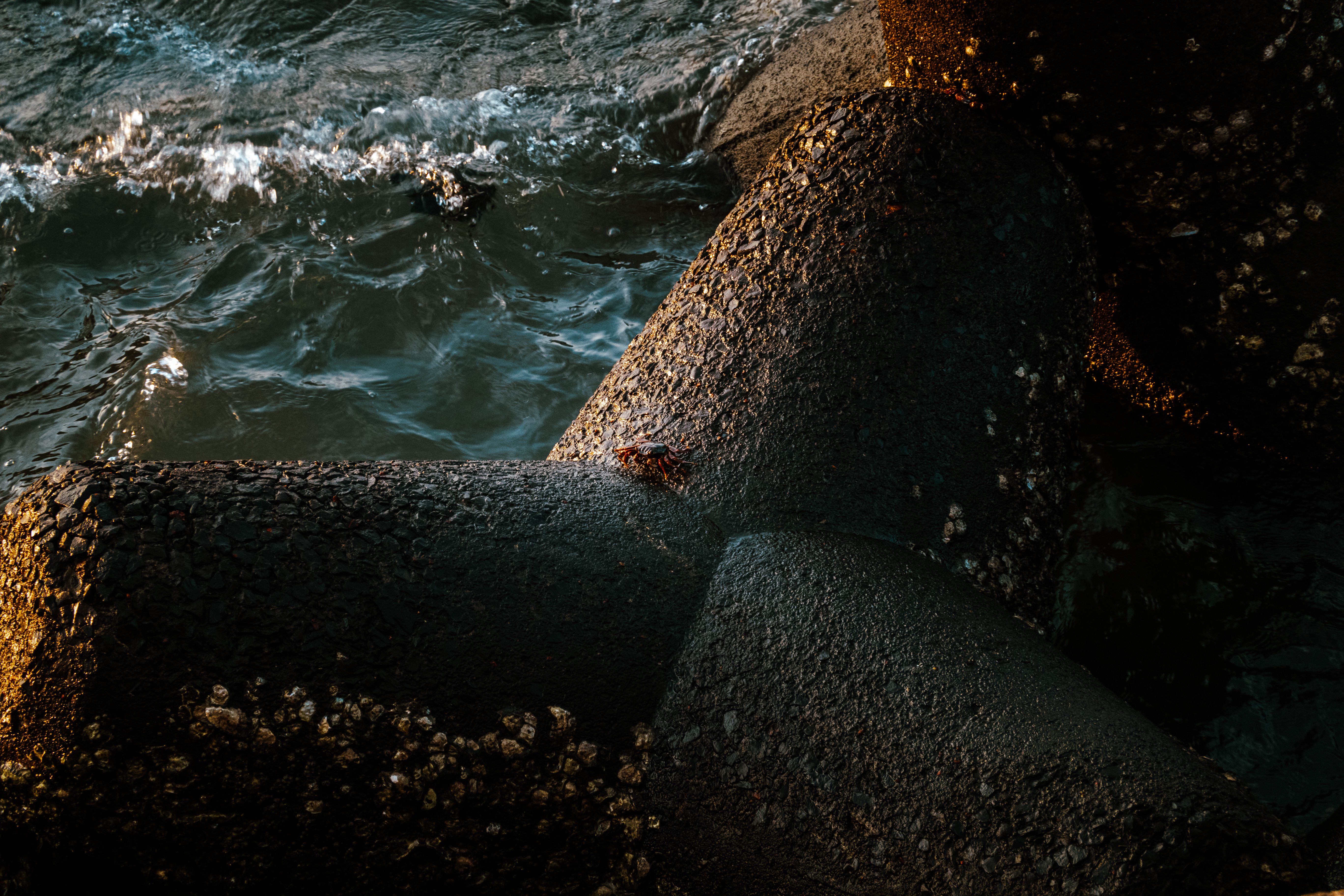 The Nariman Point Crab