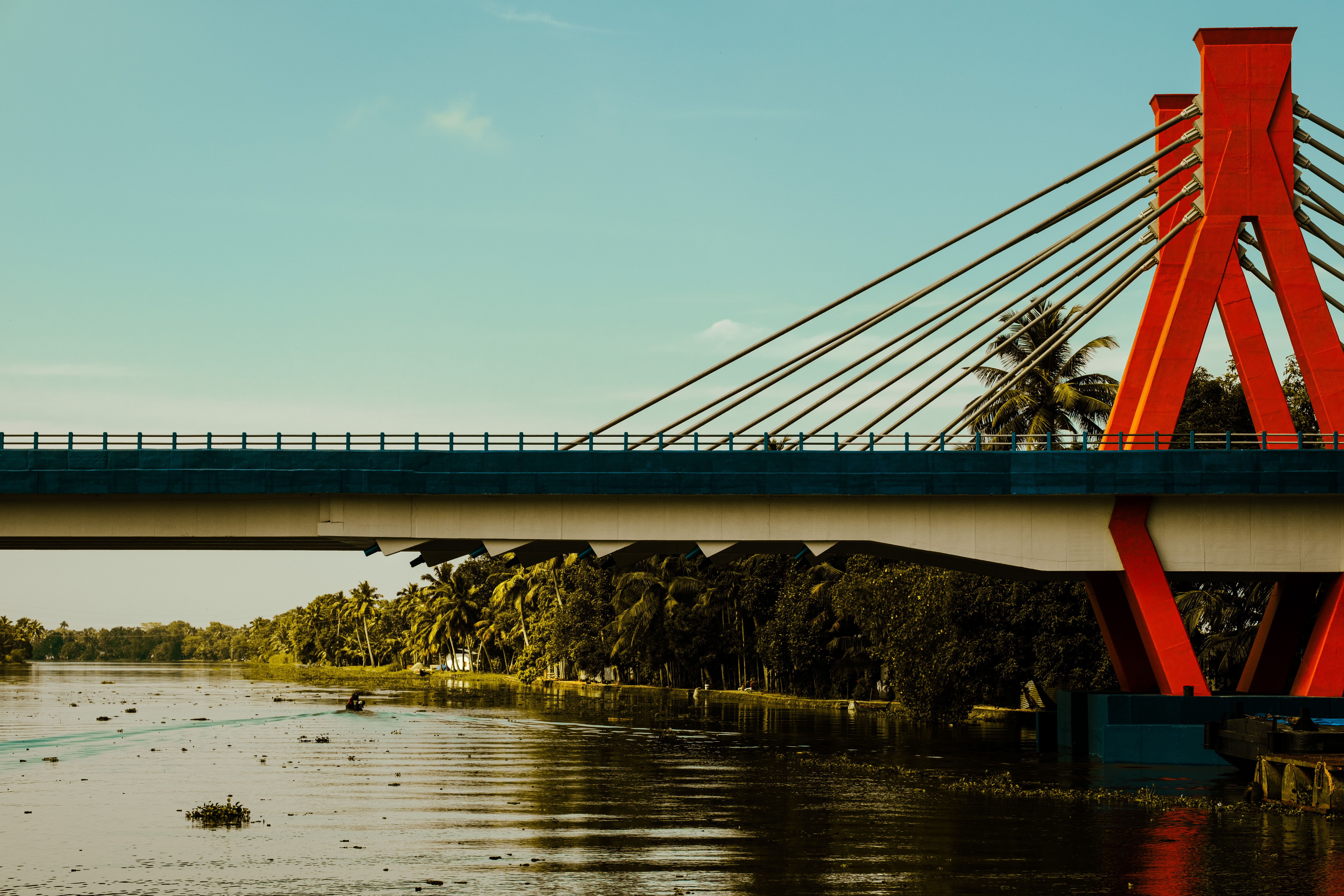 Kerala's first extradosed cable-stayed bridge, painted in a glorious orange and brand new!