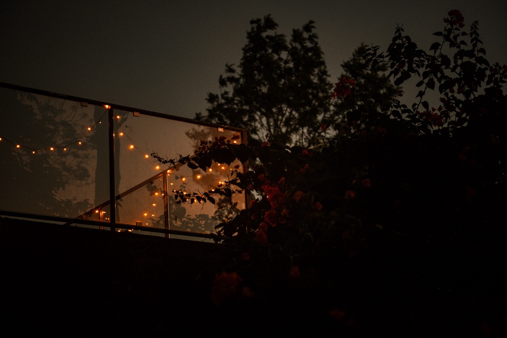 Pretty lights at the Spice Tree.