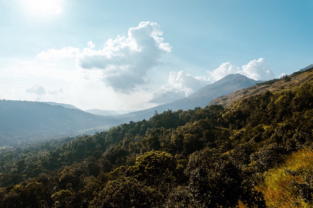 In the cool of the hills, we’ve found our welcoming new home.