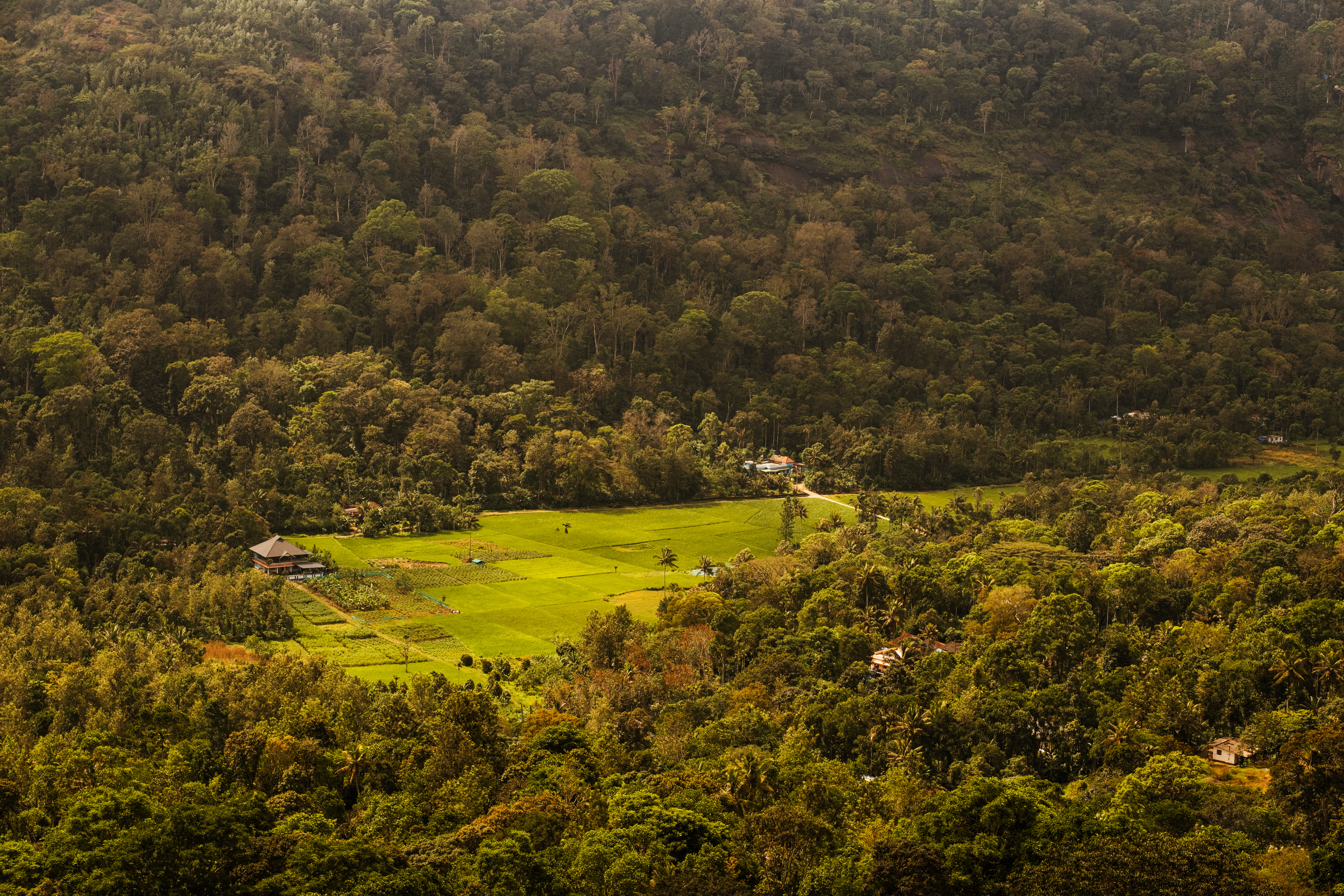 A view down into the valley feels like playing Crysis to 15 year old me.