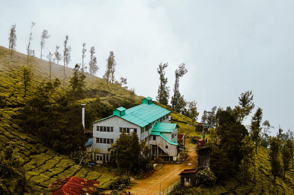 The Kolukkumalai Tea Factory. This is taken from the same location as a black and white image from the factory's opening in 1936 but I've not got a link, you'll just have to go visit.