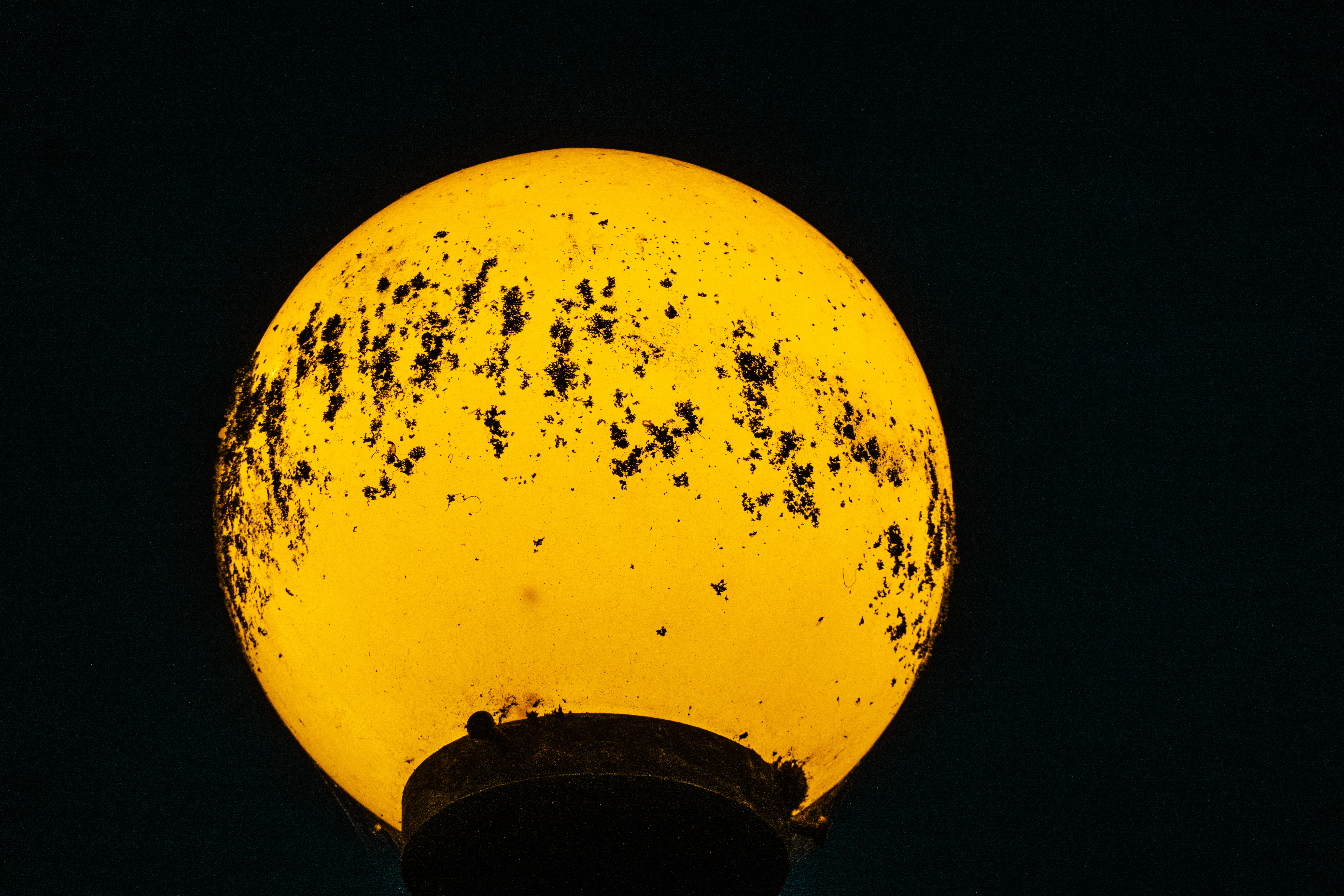 It looked like a star or something