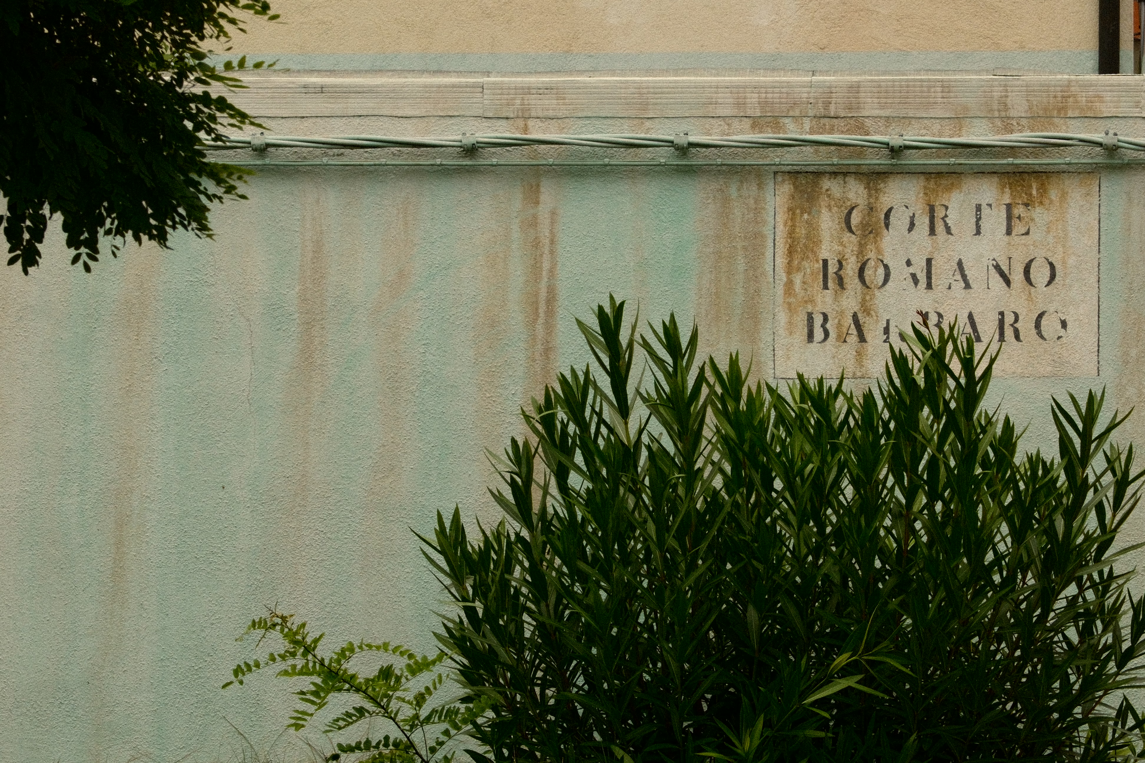 Romano