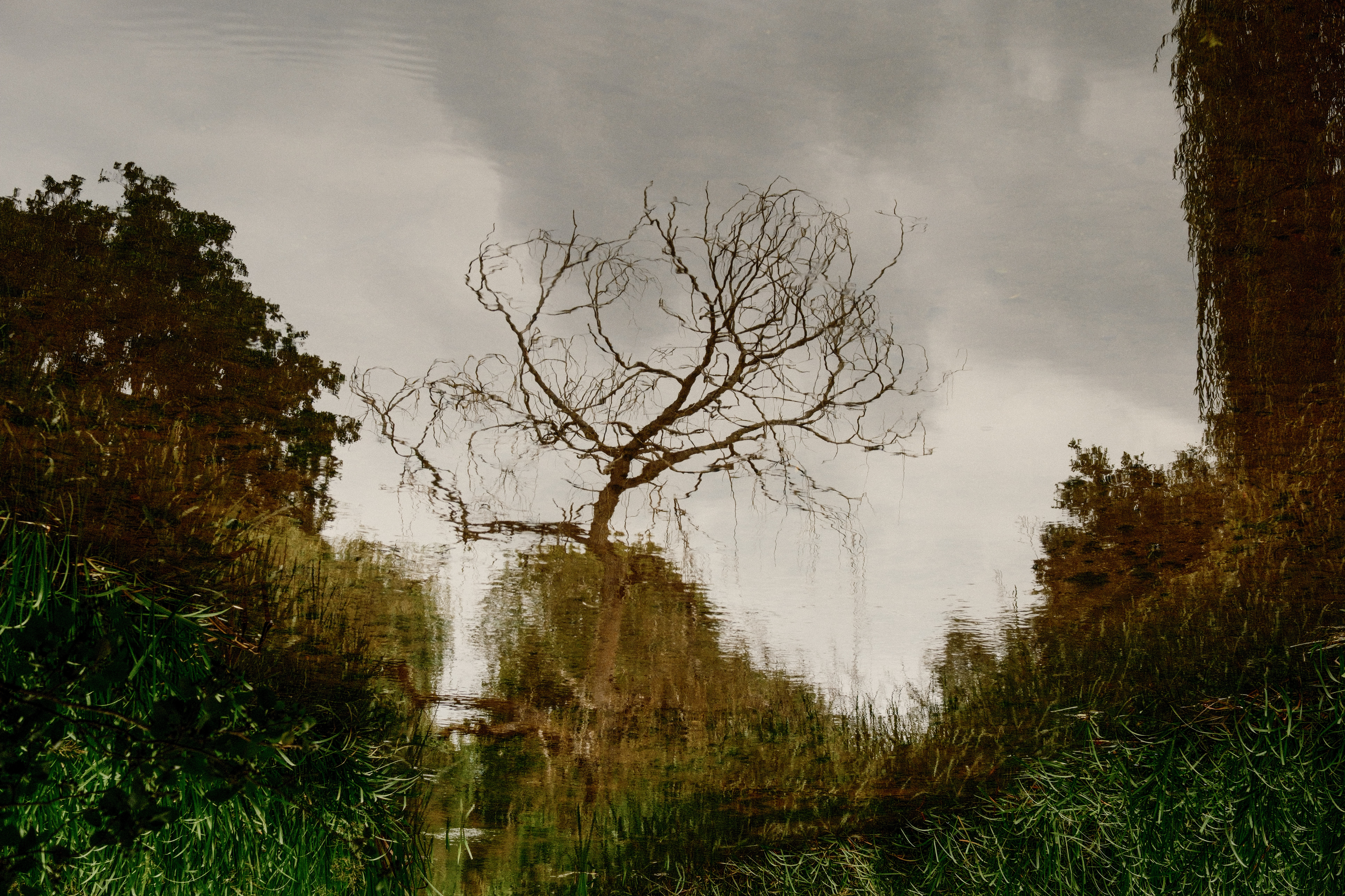 In the upside down