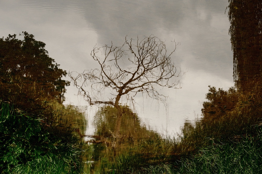 In the upside down