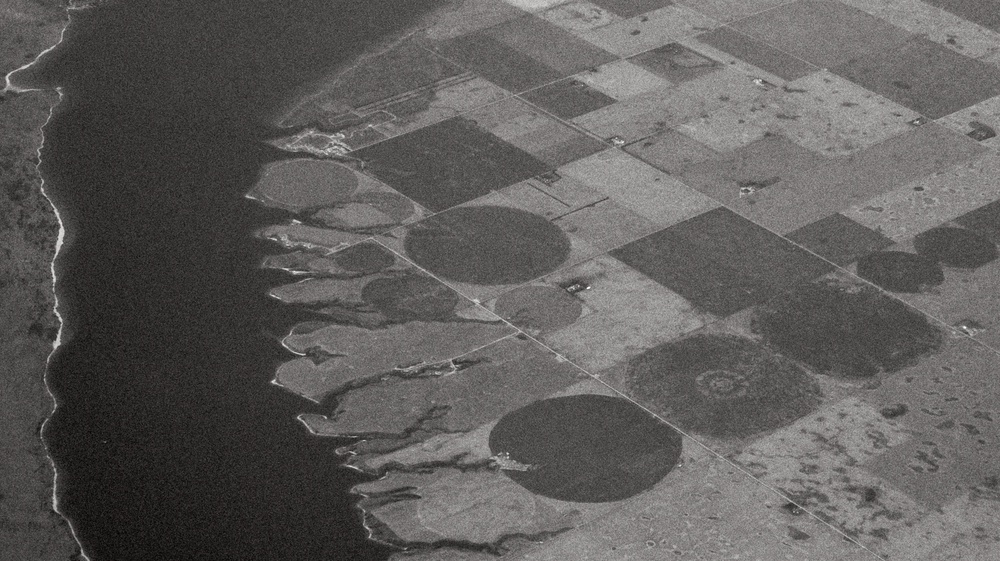 Crop Circling