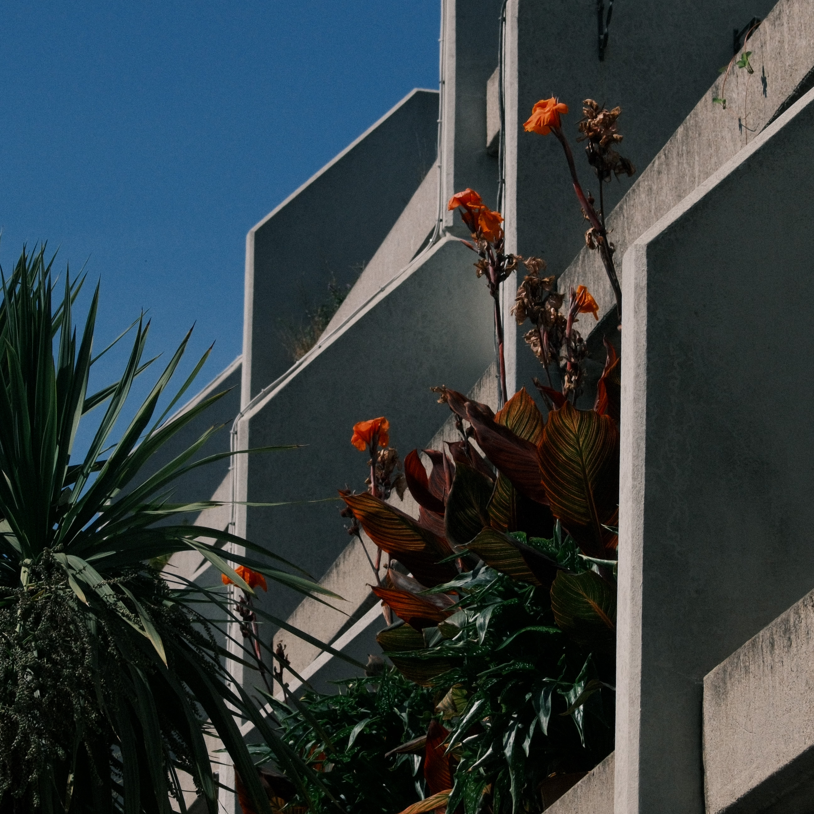 Balcony Display 