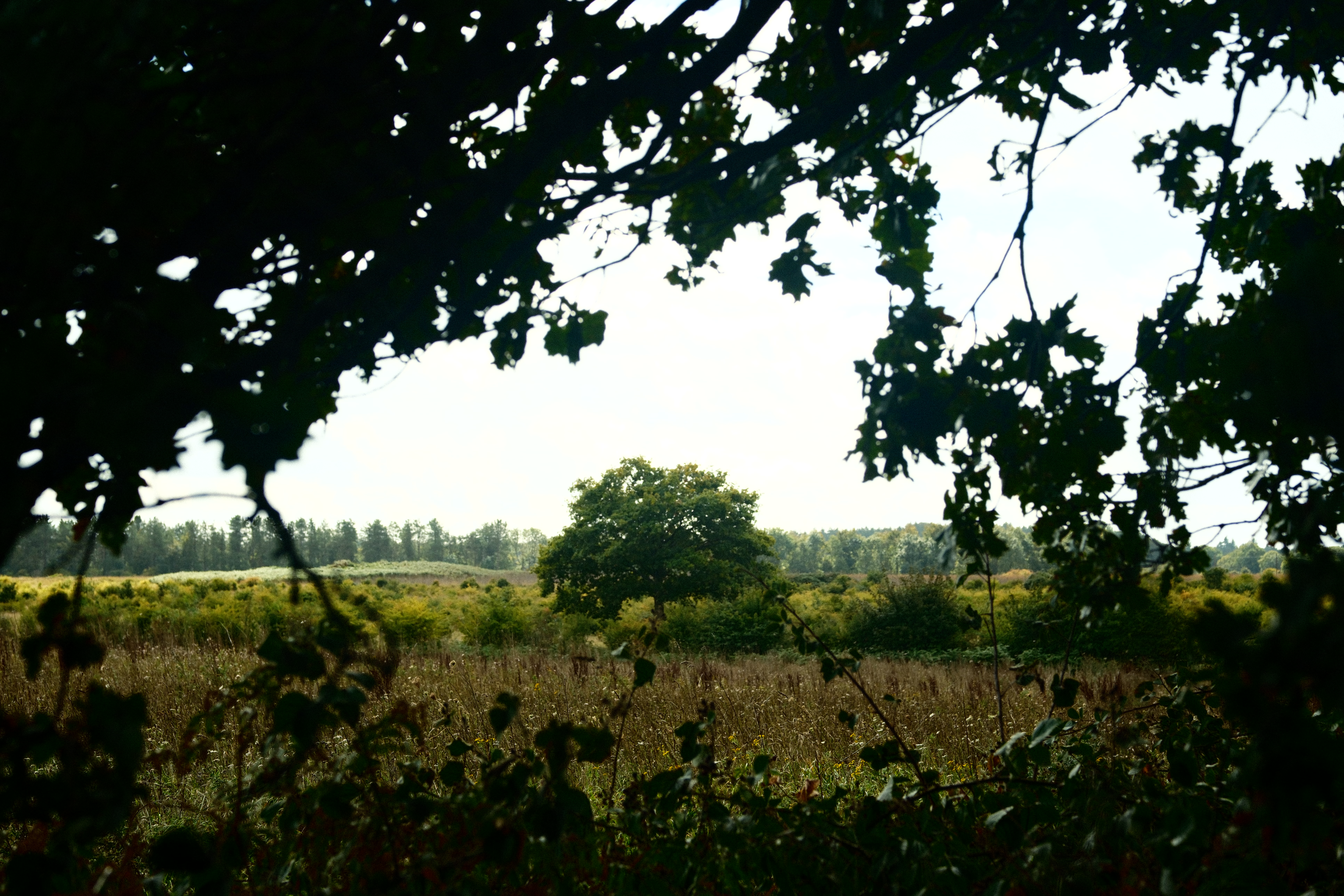 England 