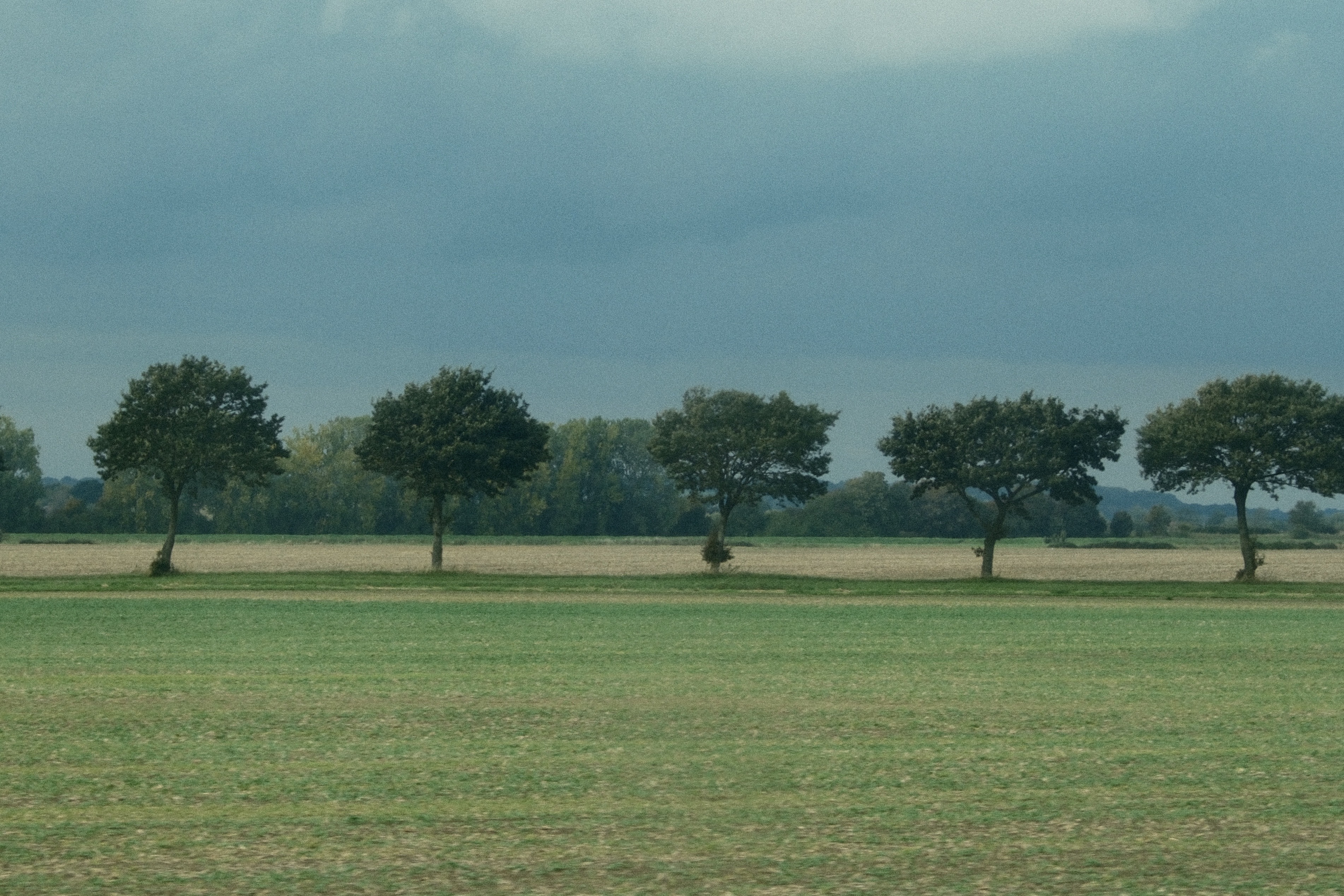Field boundaries go by glass sky blue green 