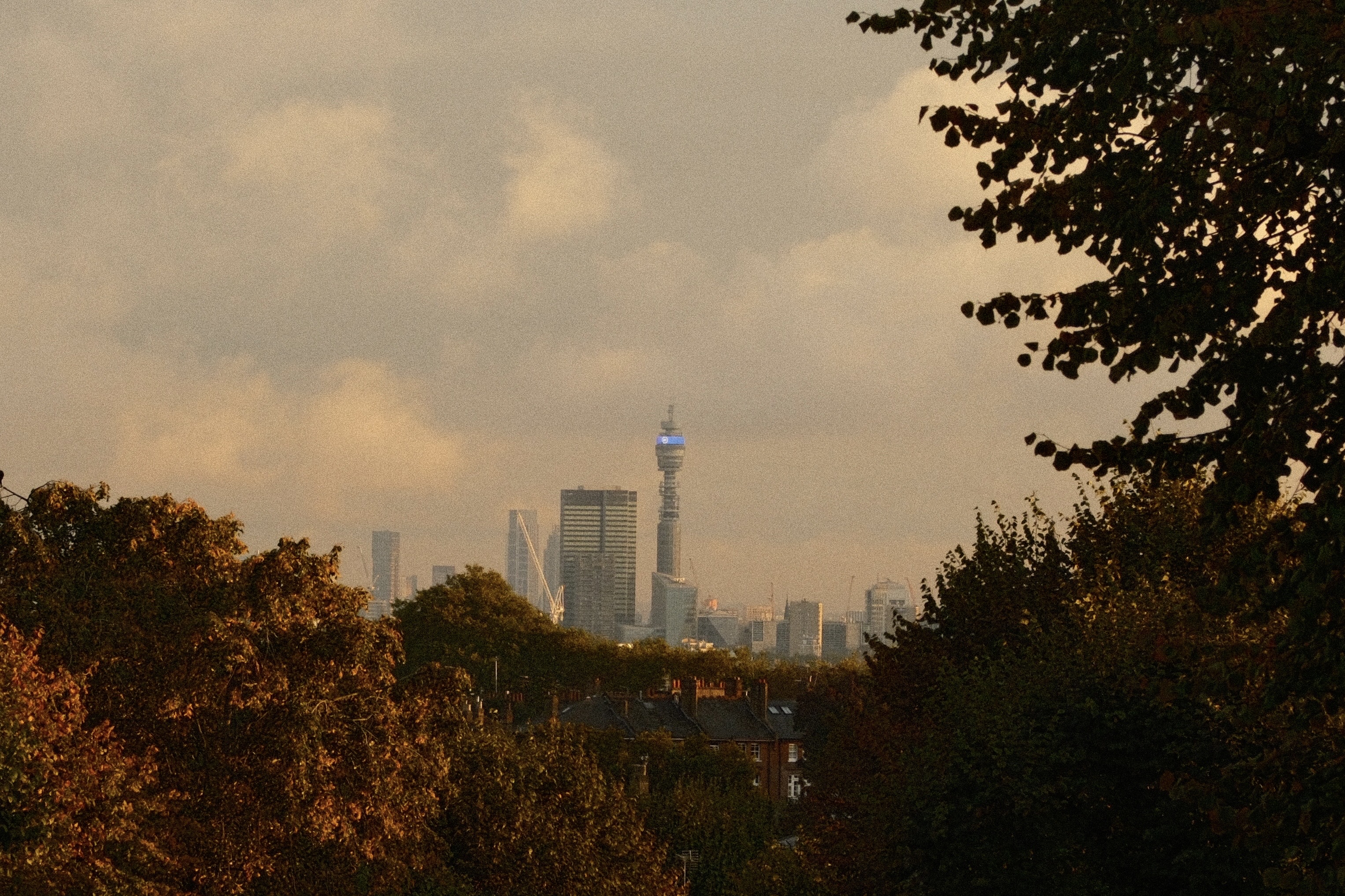 Autumn Bladerunner 