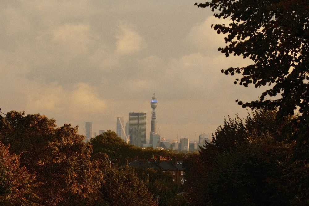 Autumn Bladerunner 