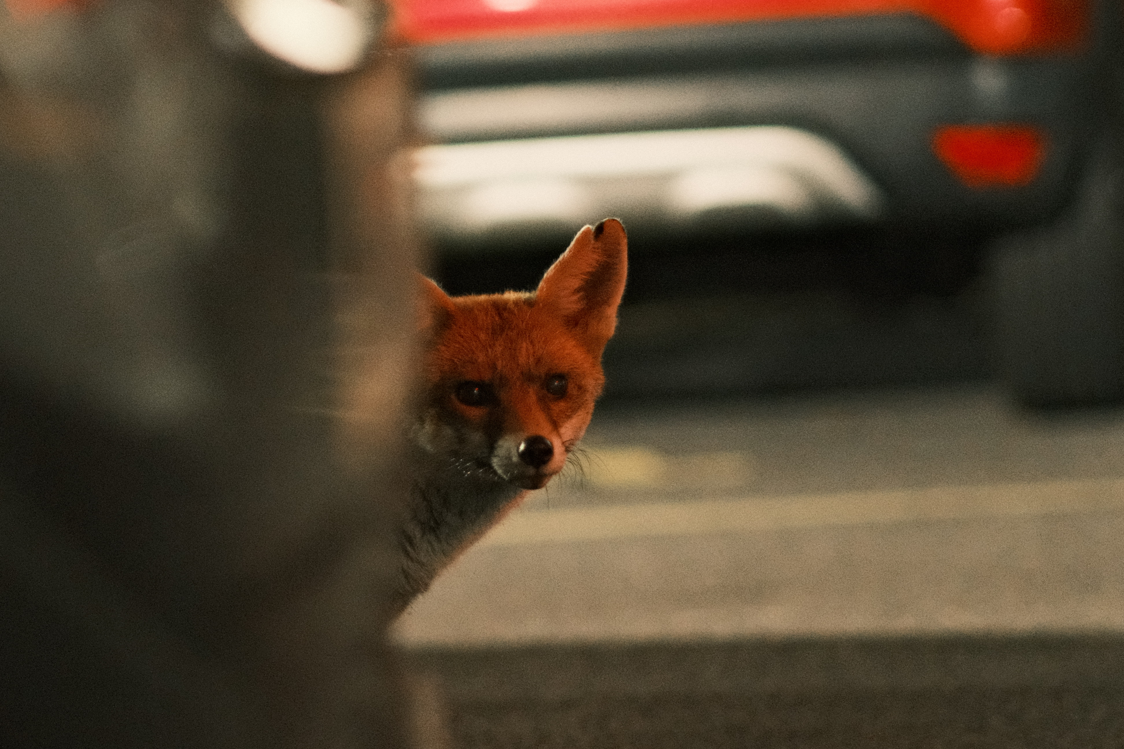An uncertain friend