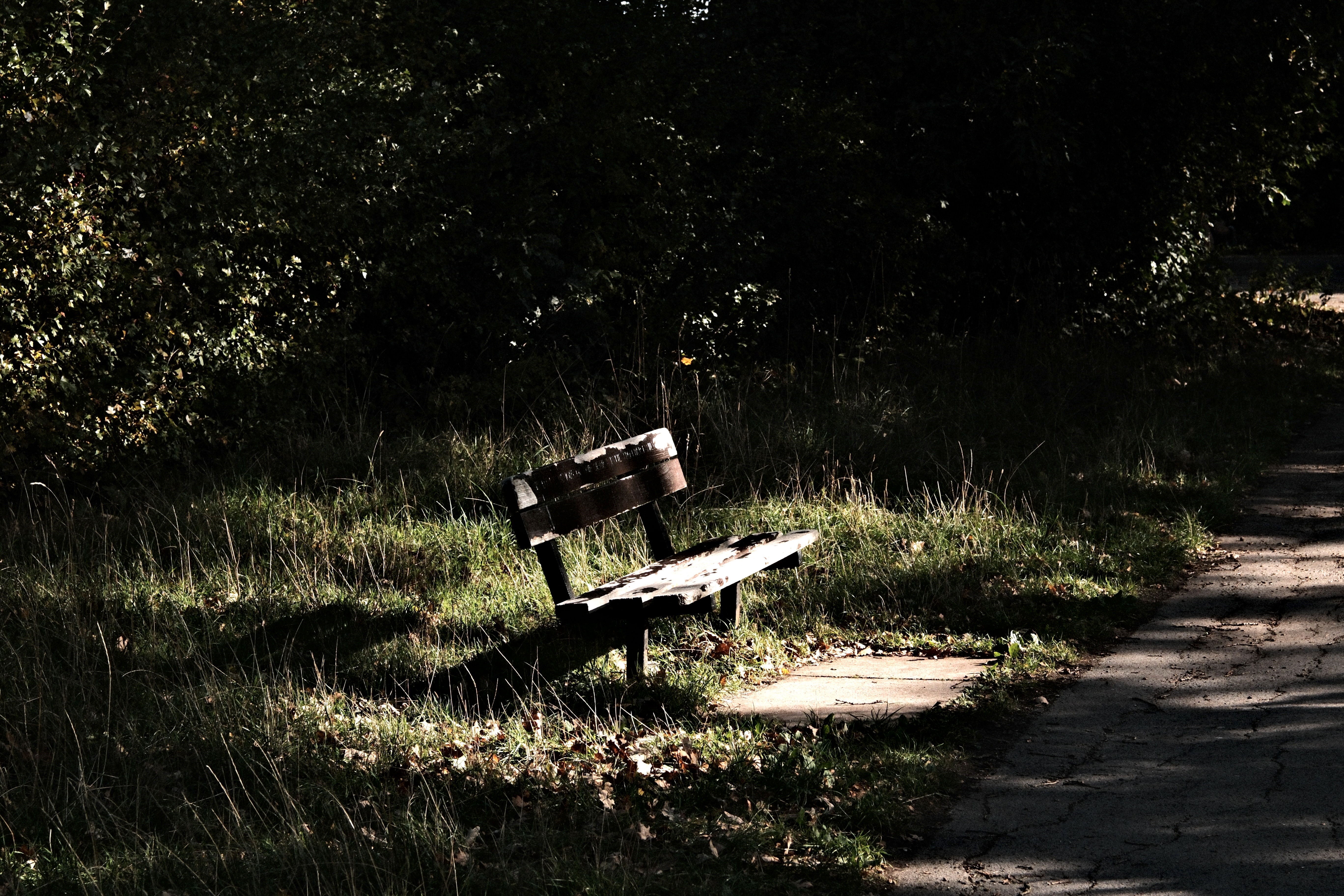 Sun trapped bench
