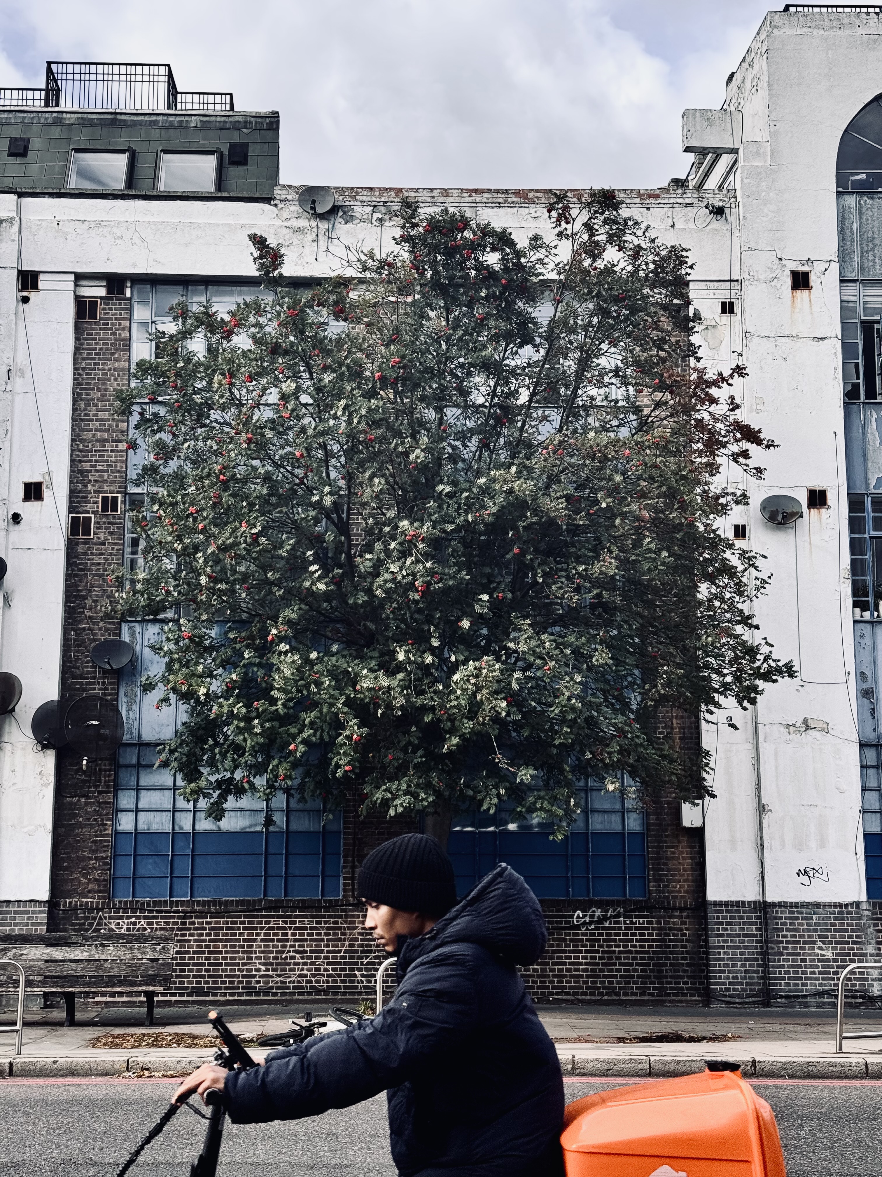 Rowan