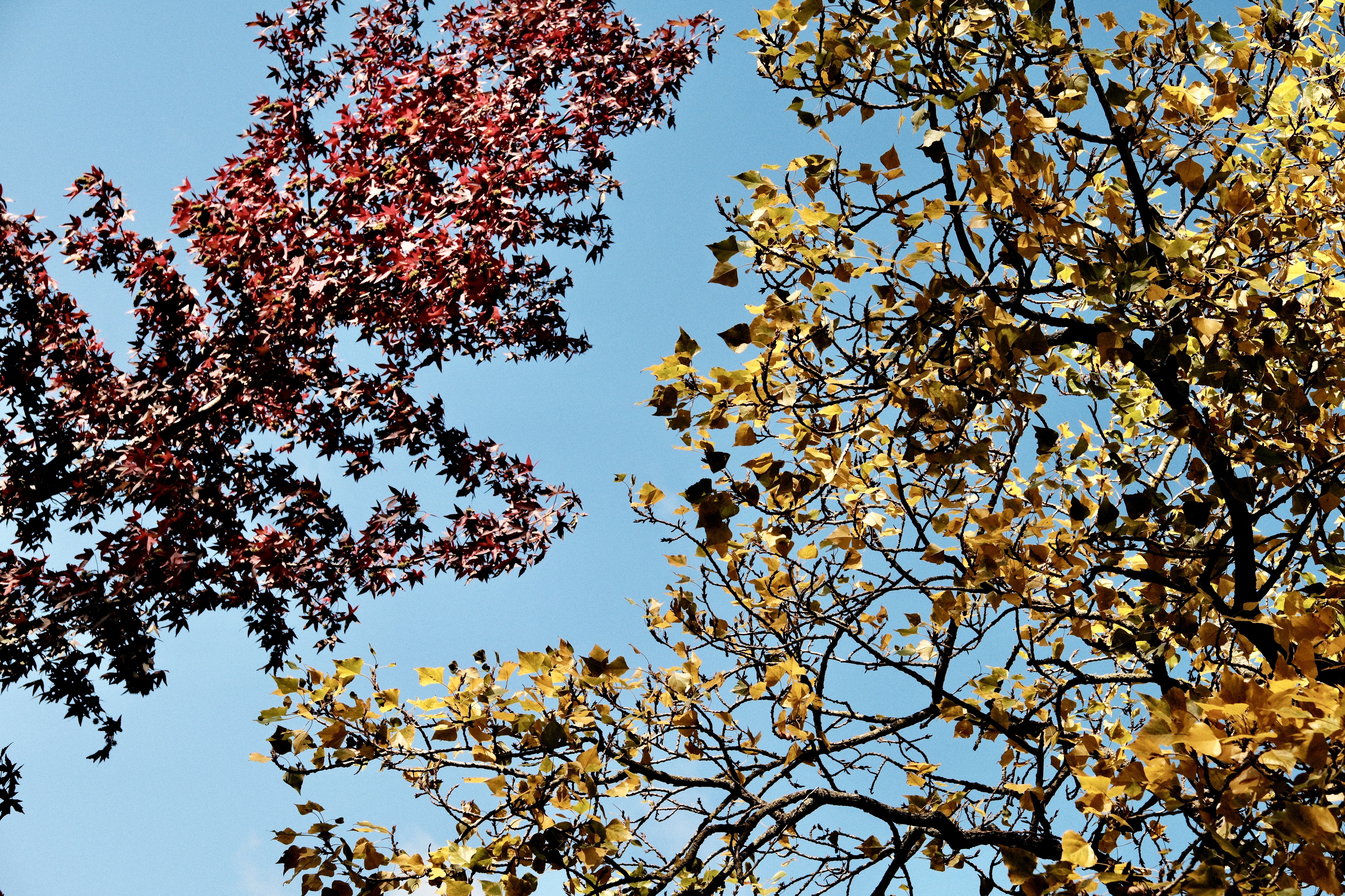 Autumn is here.