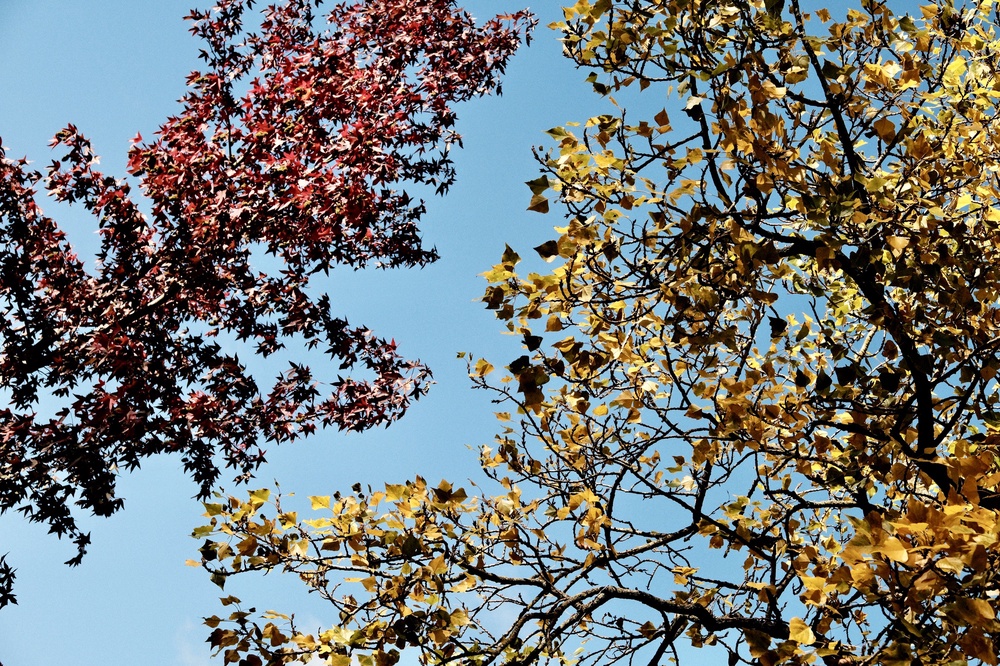 Autumn is here.