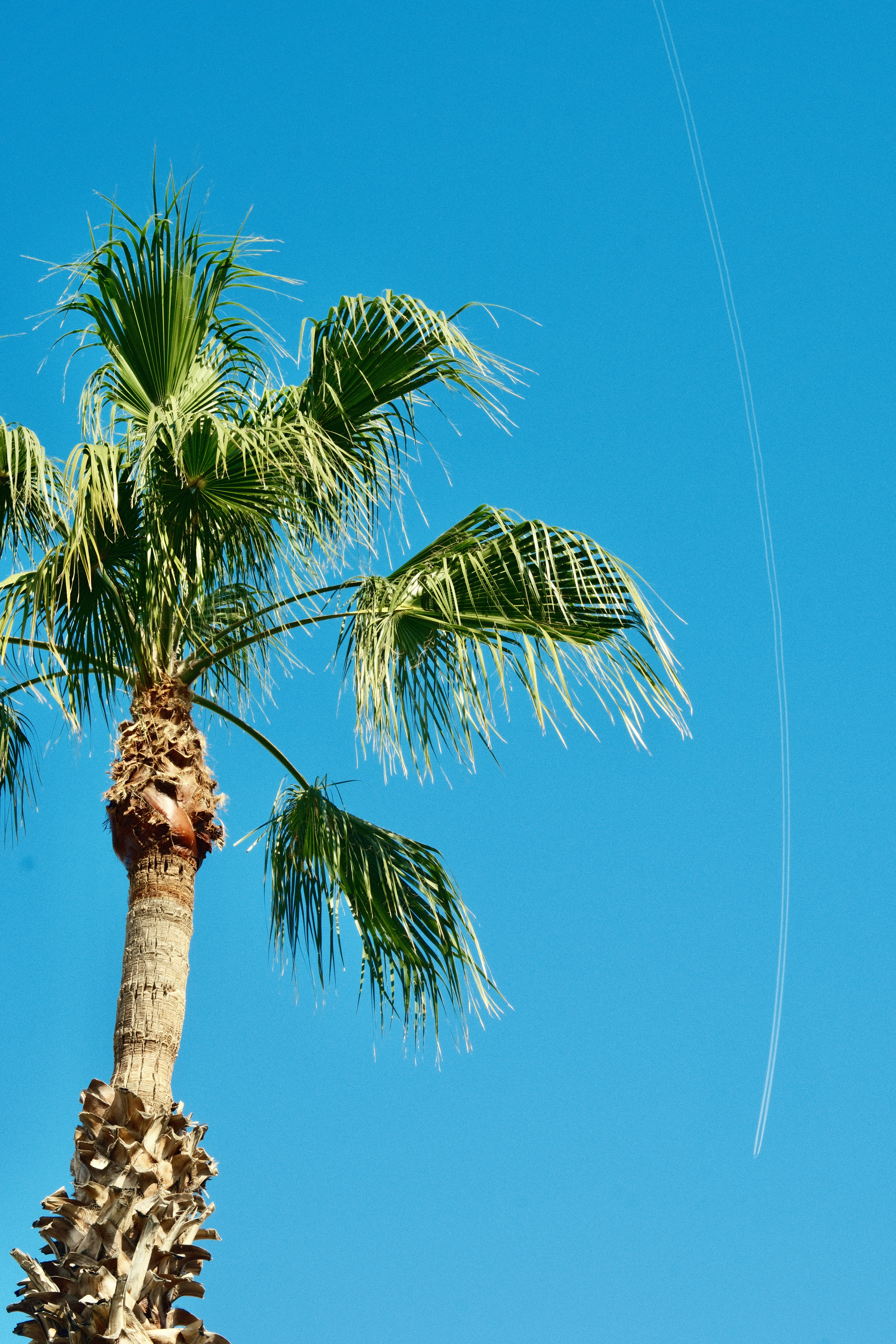 We’re all going on a summer holiday. Except it’s October 