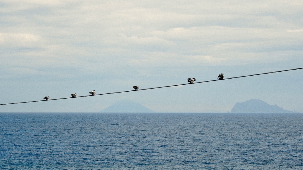 BUG ON A WIRE