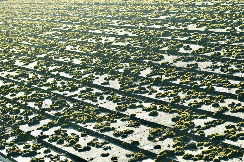 It's another planet up there!