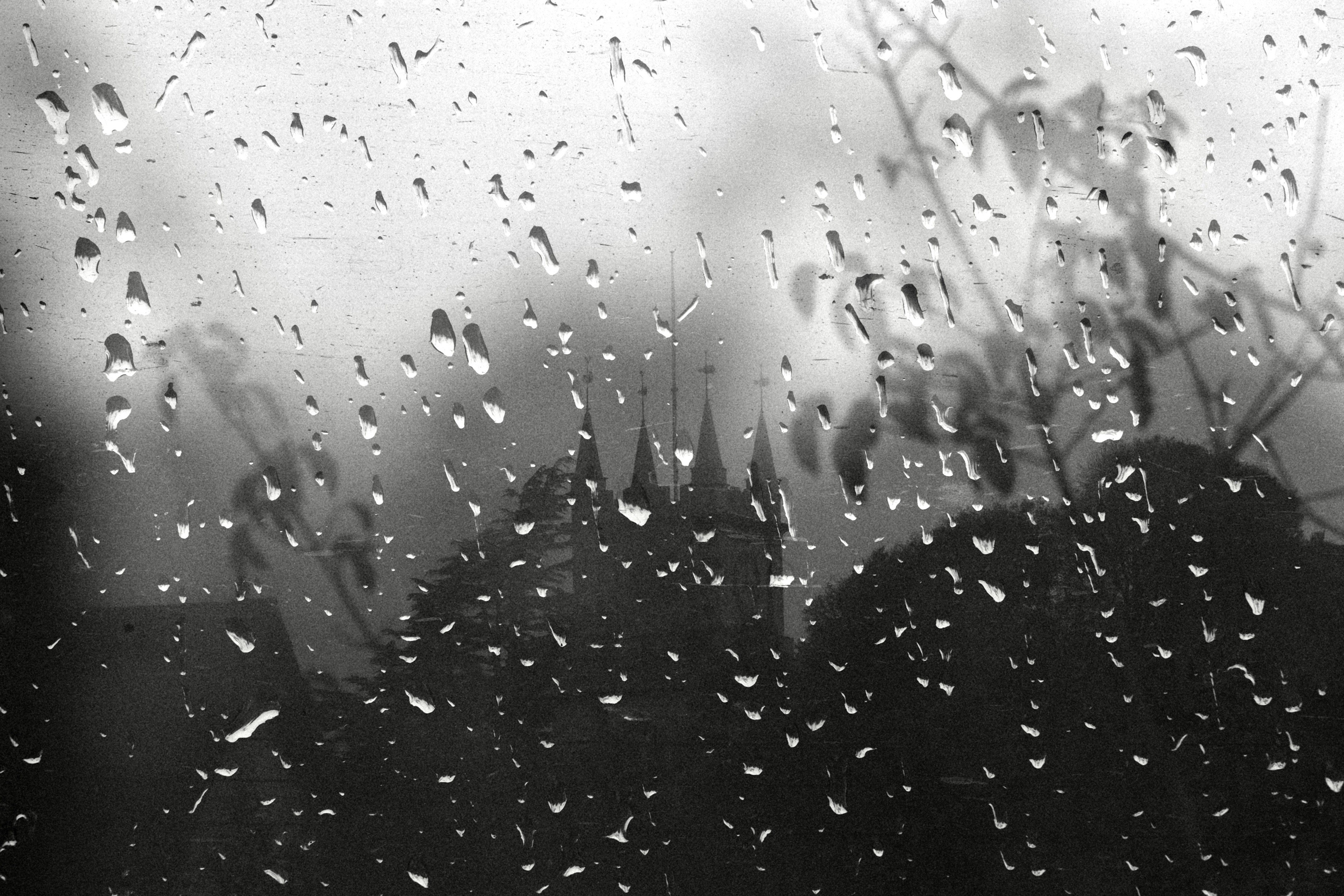 Long time since I last played double exposures. Making a dreary day more interesting, for me. 