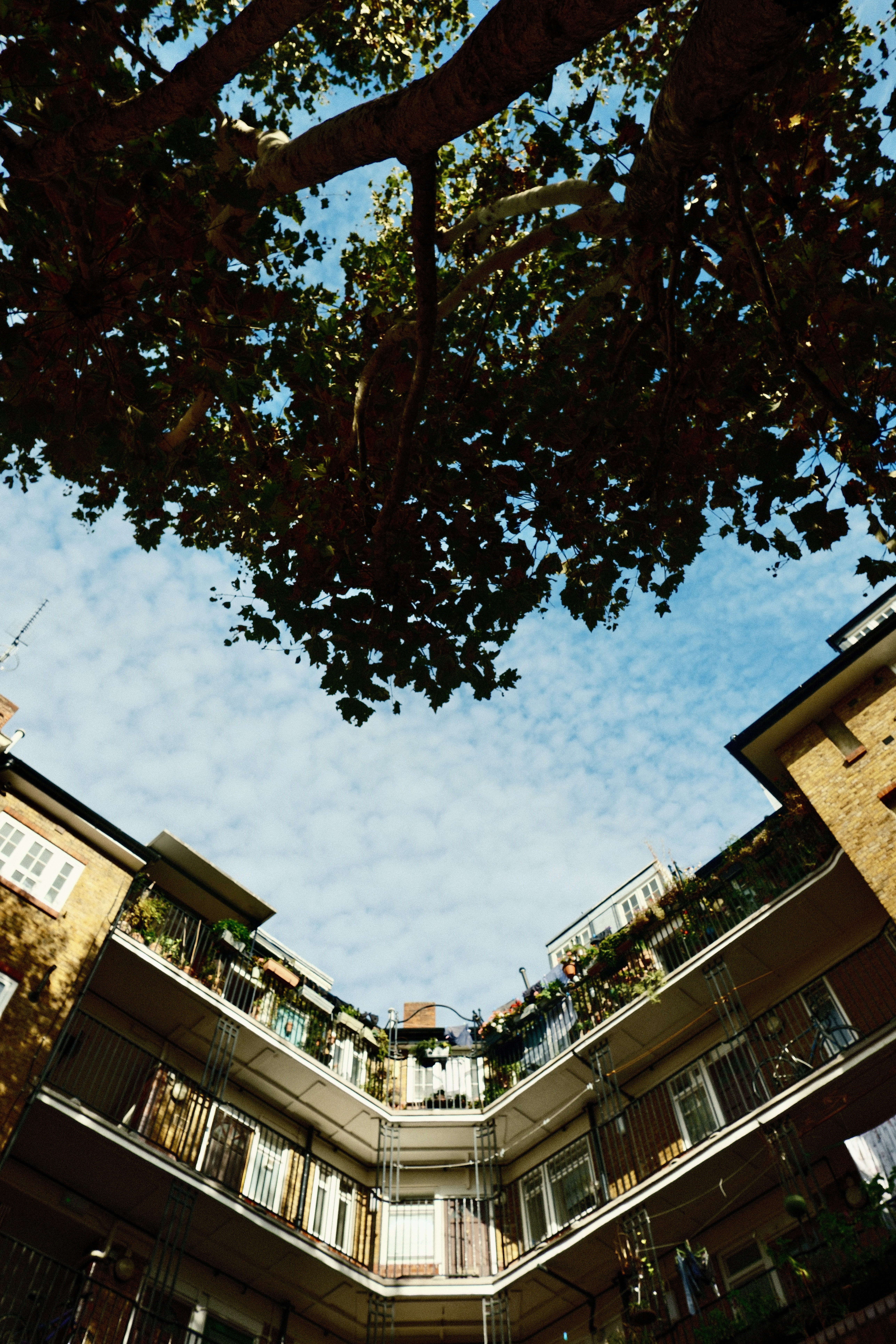 Wandering around the quiet of the Kirkeby Buildings, waiting for the highlight of the week. 