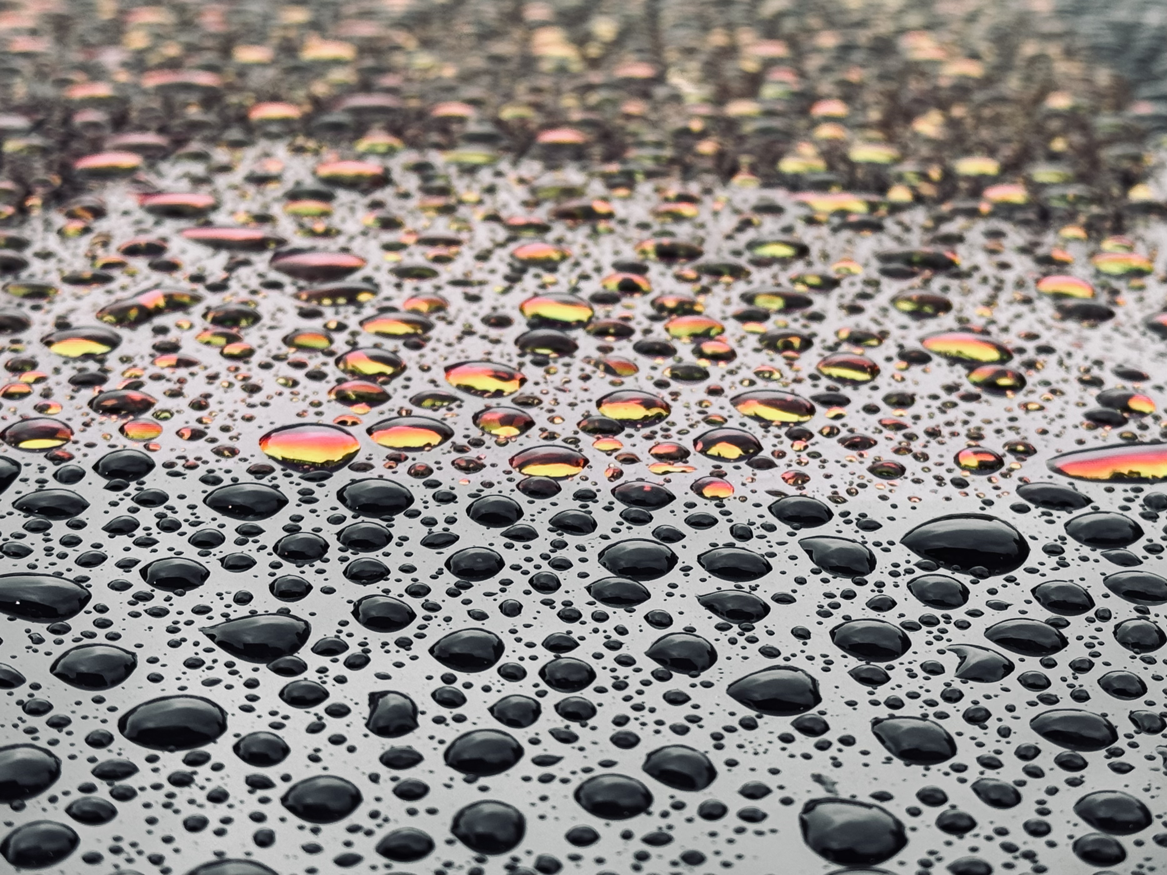 An otherwise gloomy day