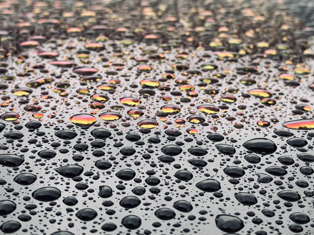 An otherwise gloomy day