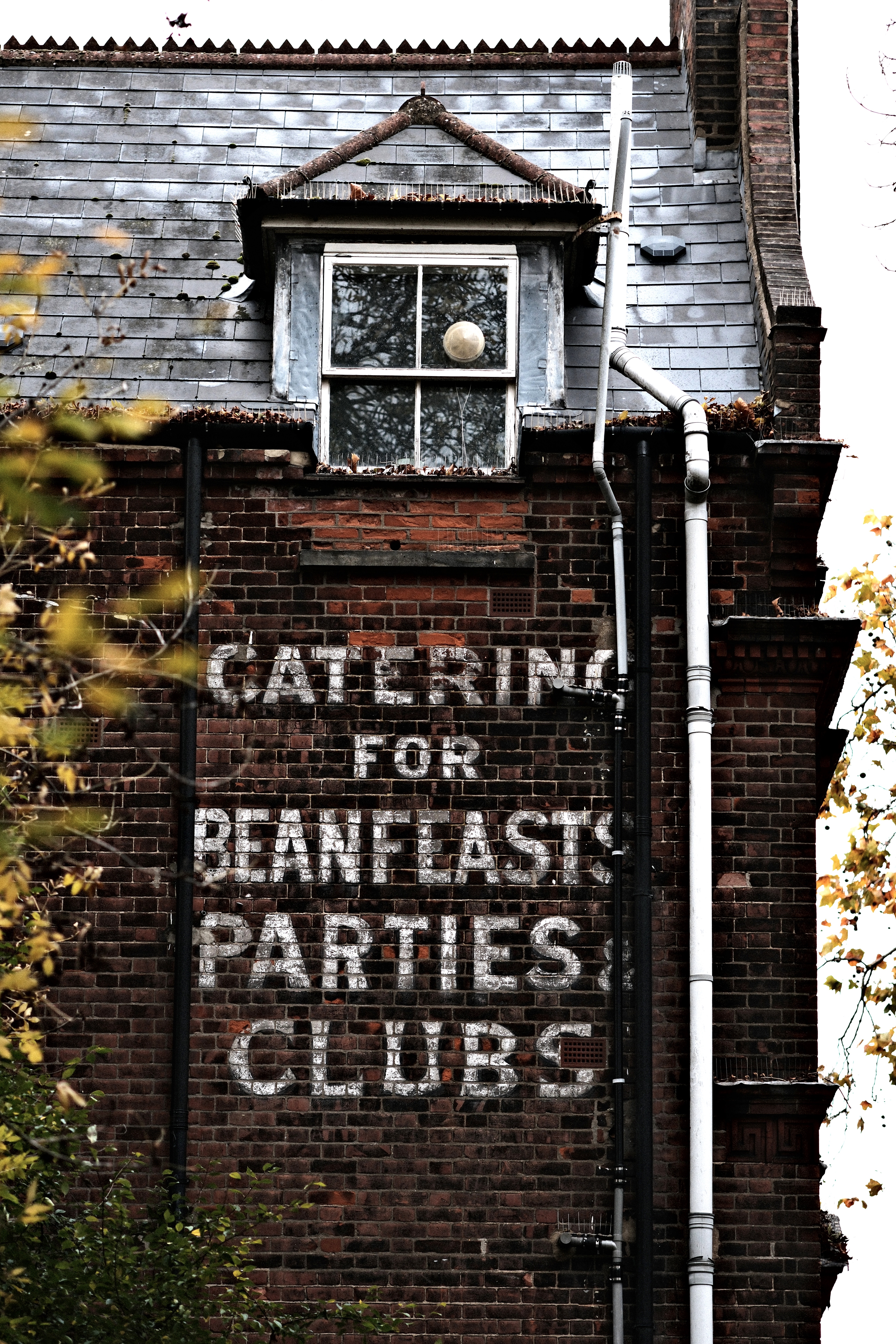 Another day, another... Beanfeast?