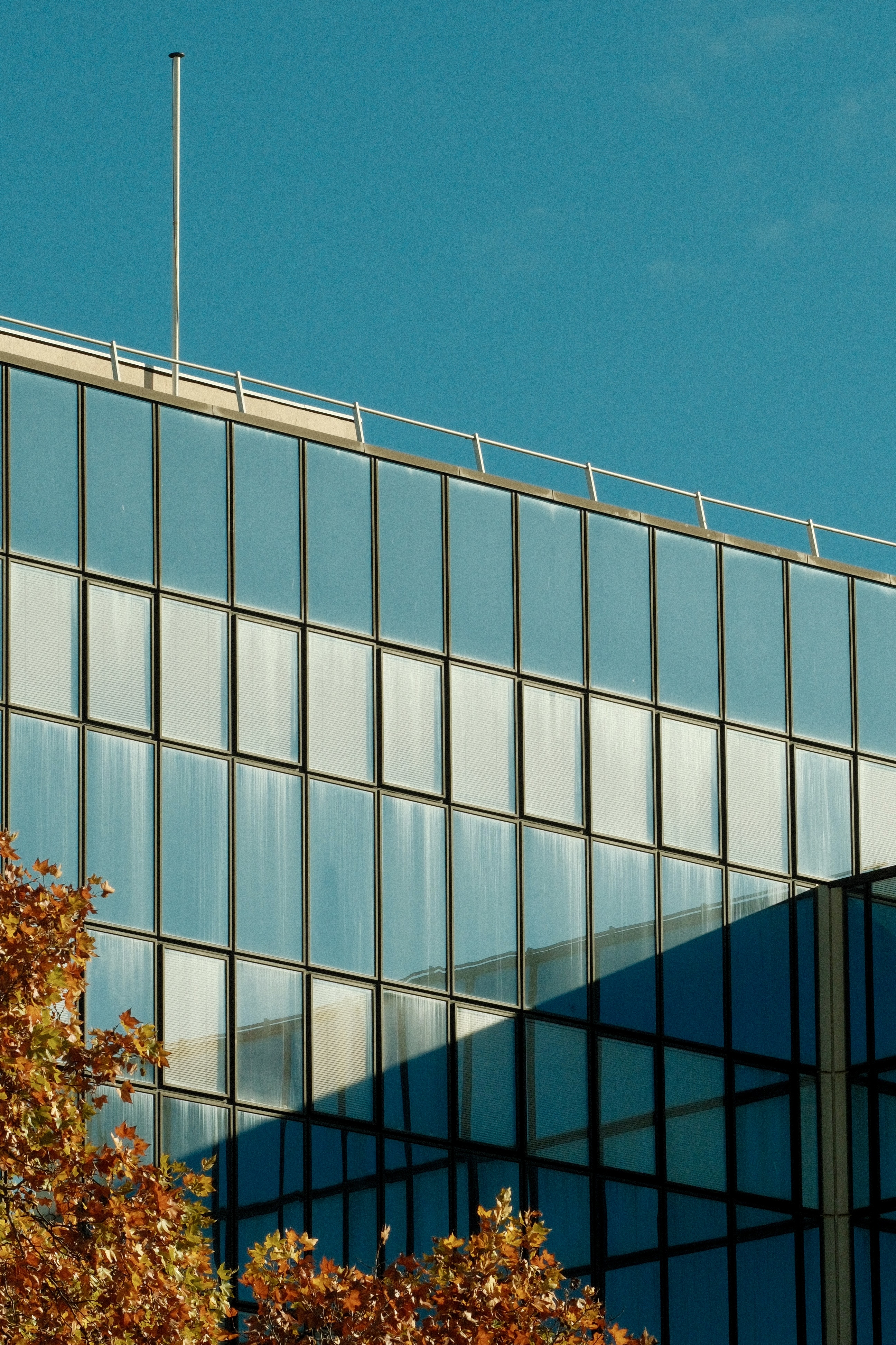 Autumn afternoon sun