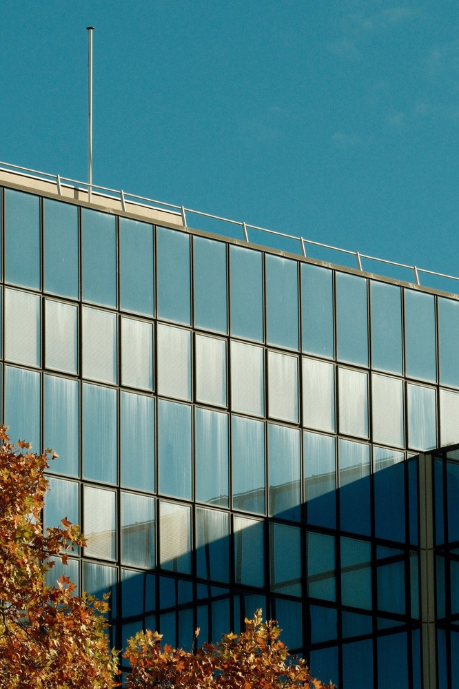 Autumn afternoon sun