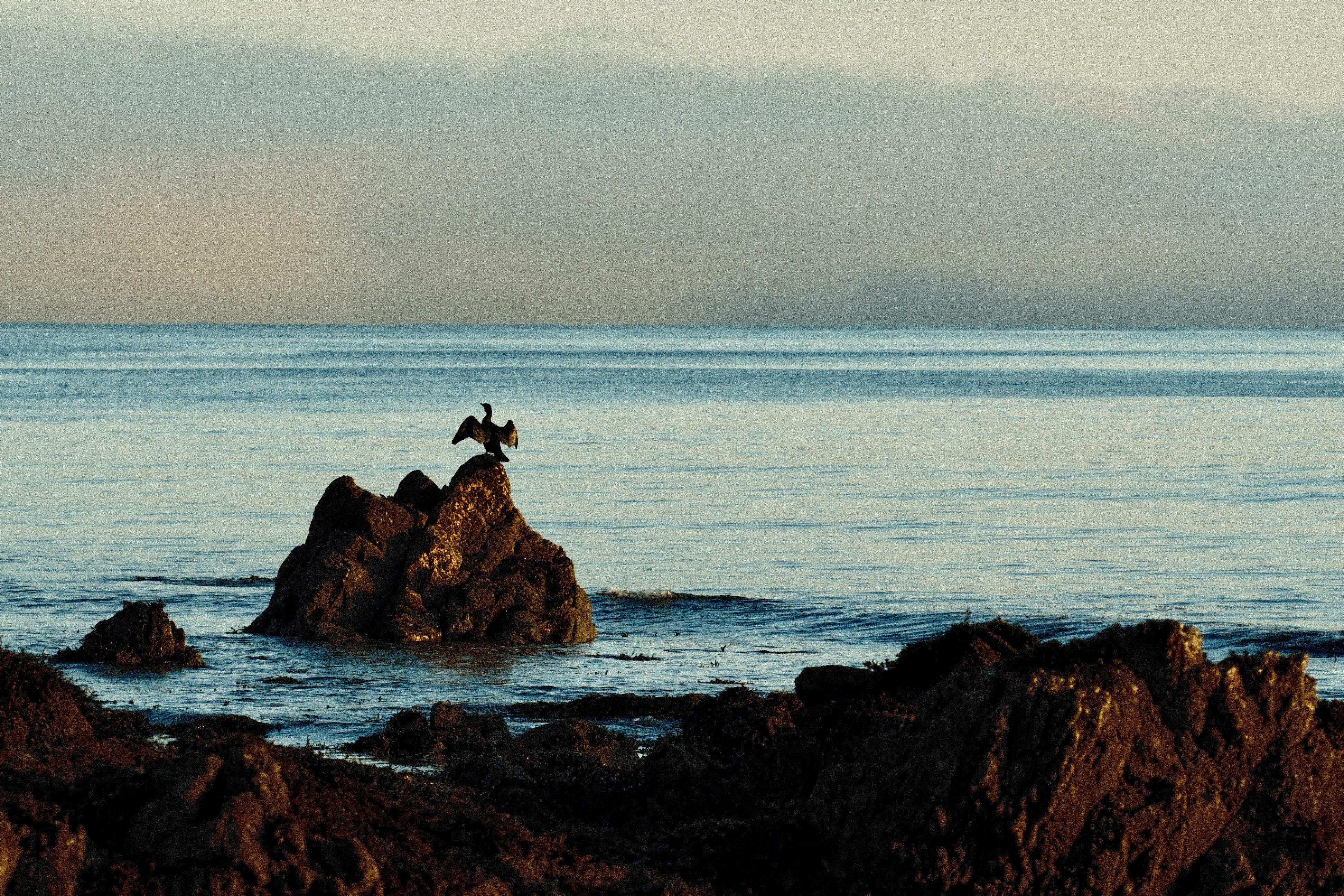 Wing warming in the sun