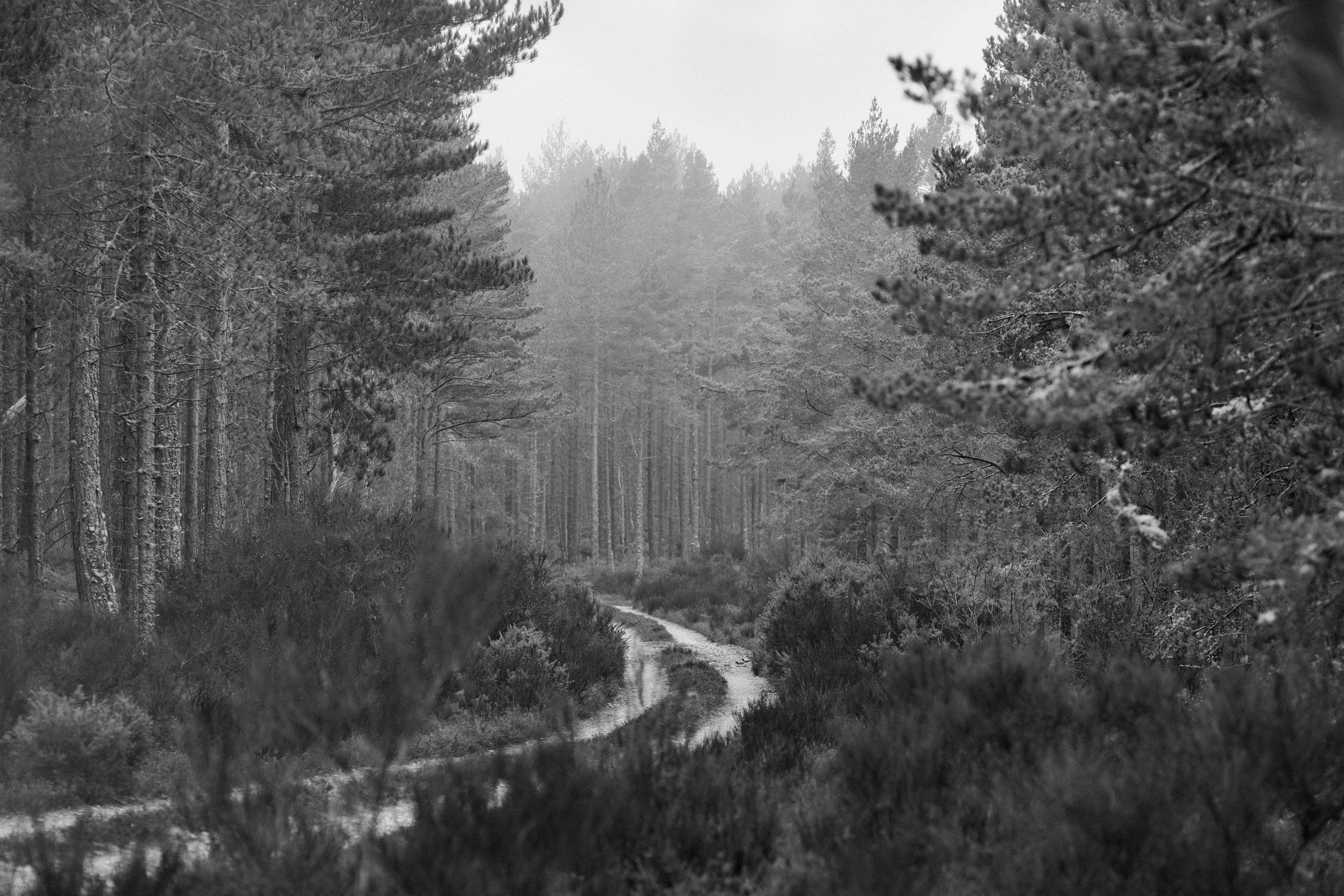 Every day is a winding road