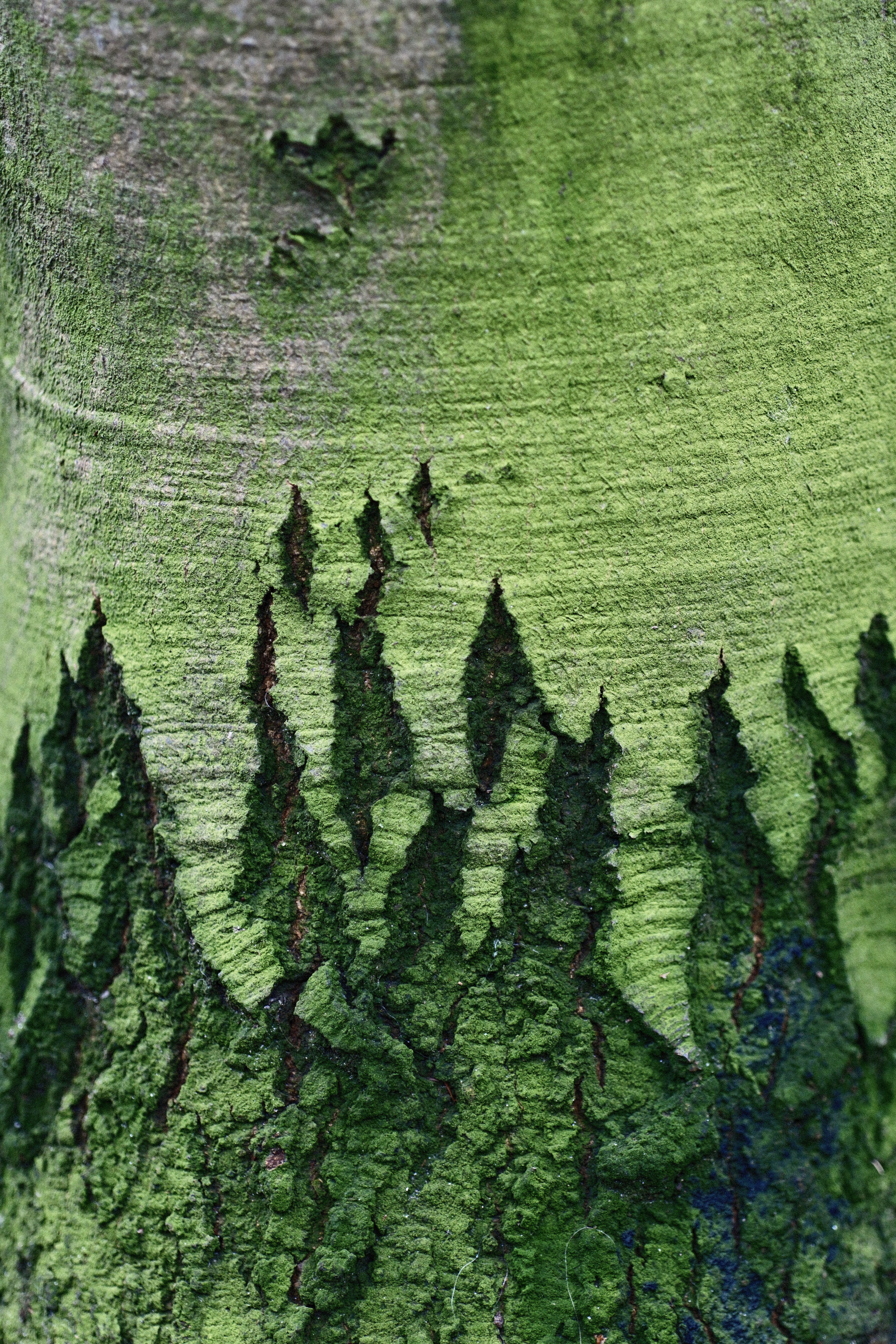 Miniature landscapes 