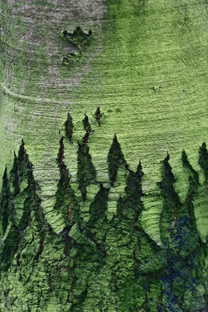 Miniature landscapes 