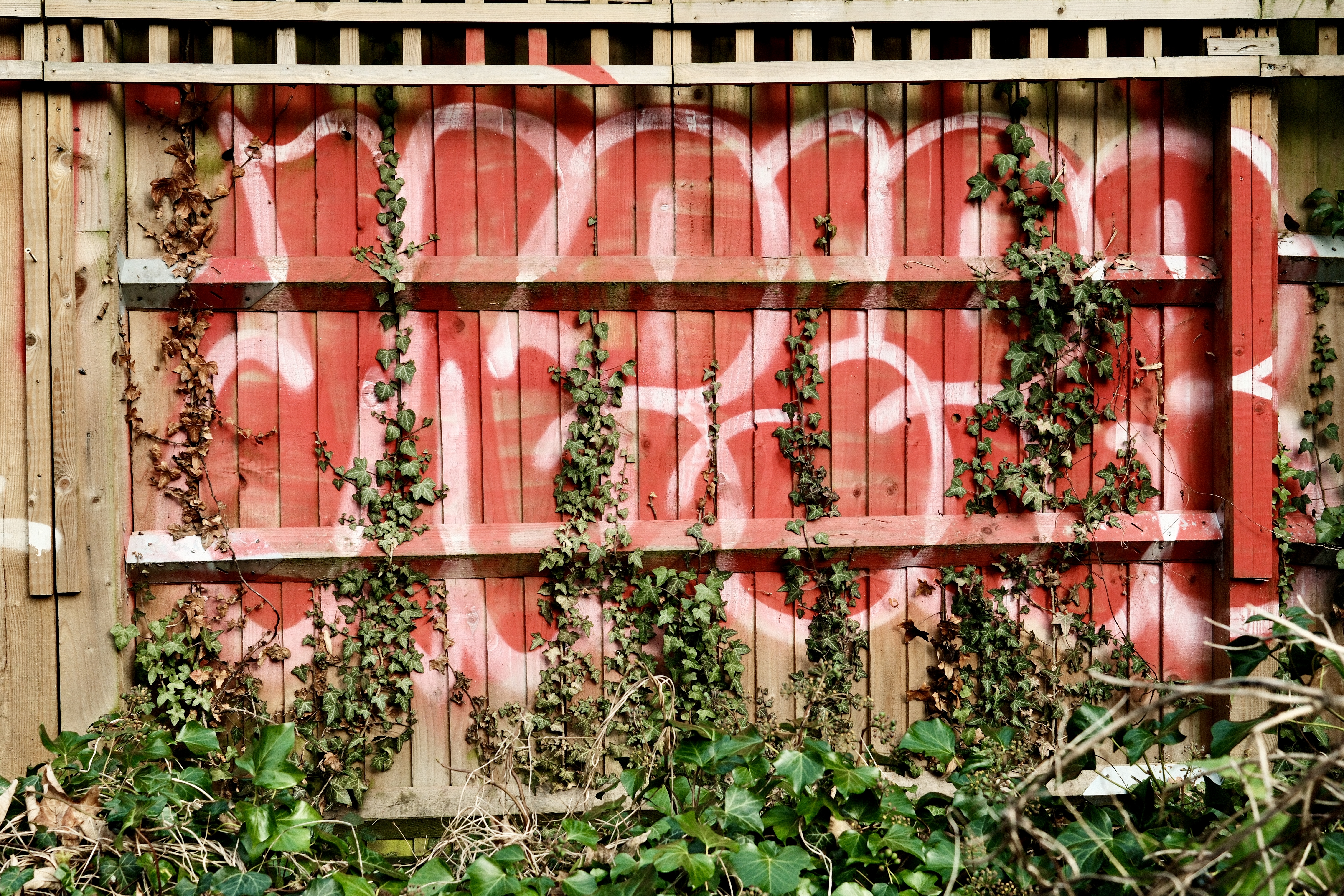 Greenery meets graffiti. We started the Capital Ring project.