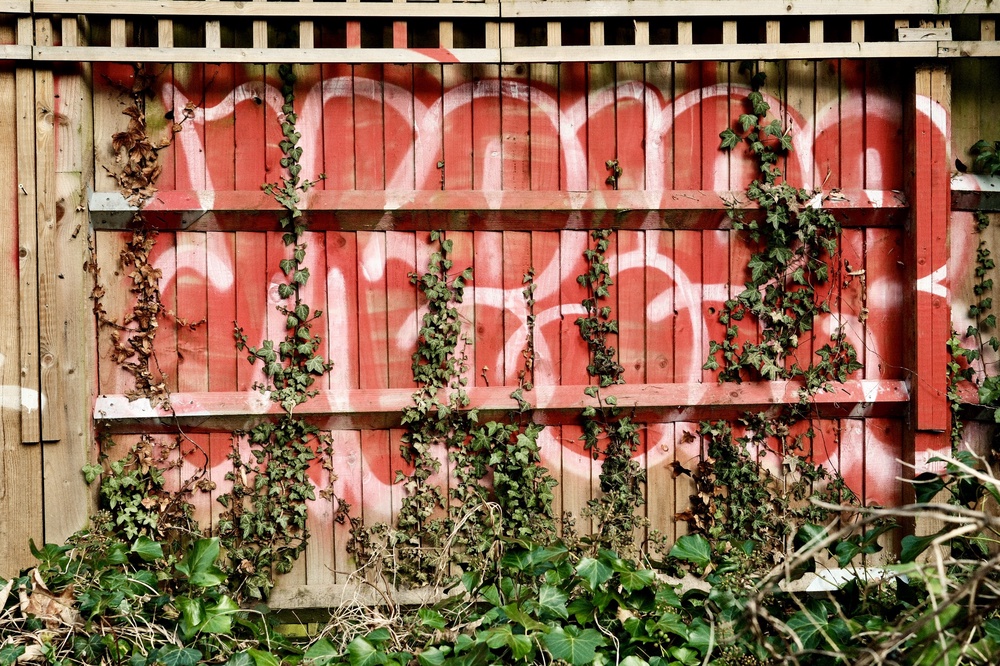 Greenery meets graffiti. We started the Capital Ring project.