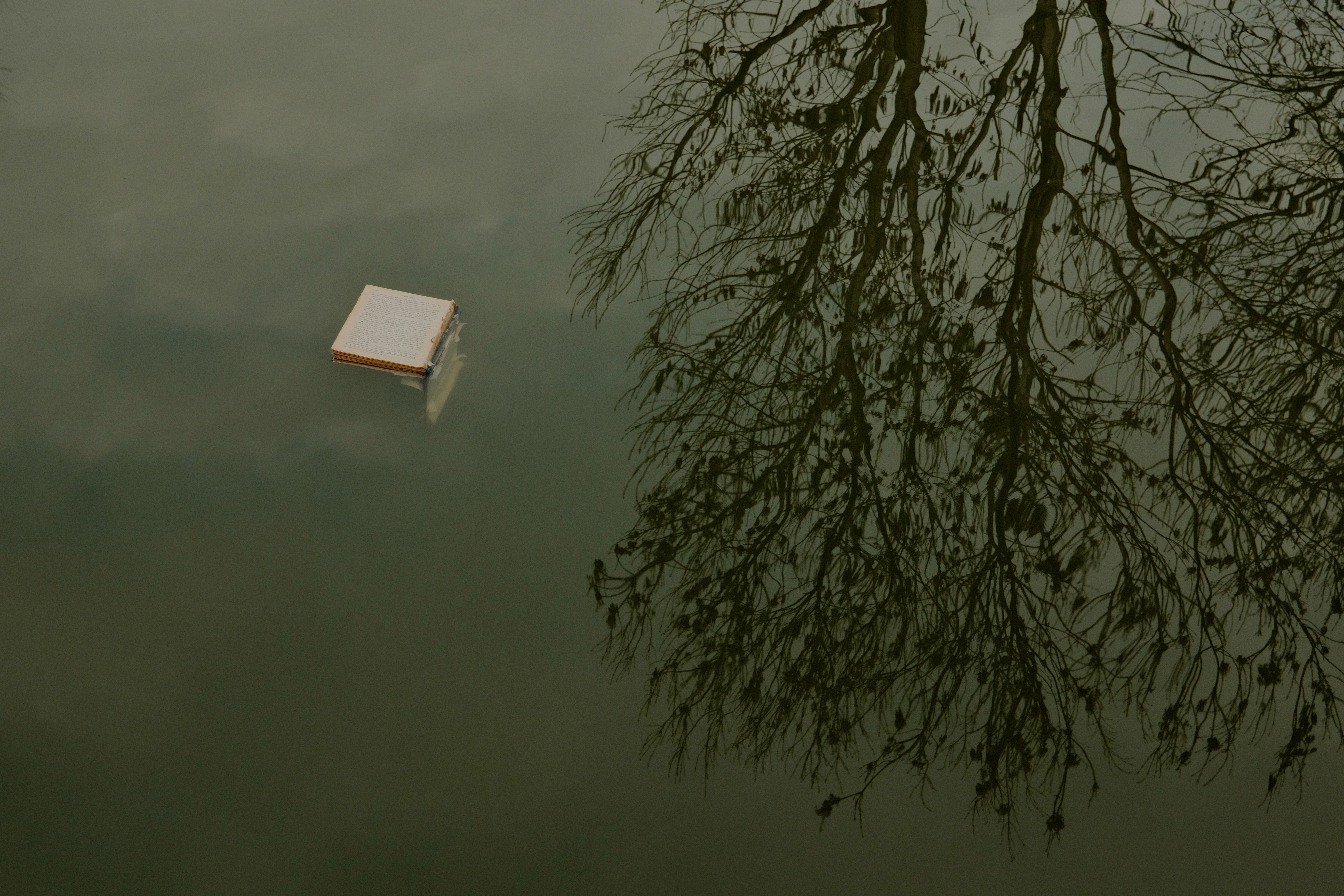 The tale of the floating book